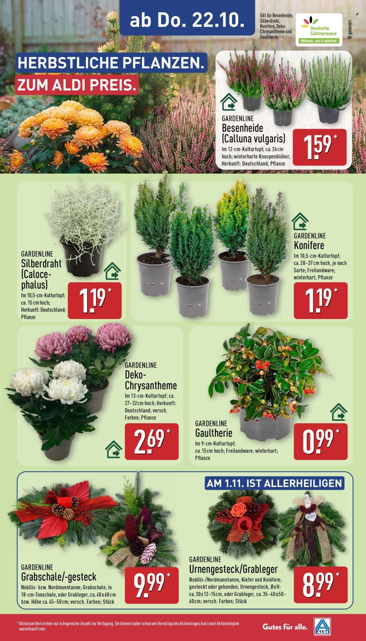 ALDI NORD Prospekt - Ab Montag 19.10.2026