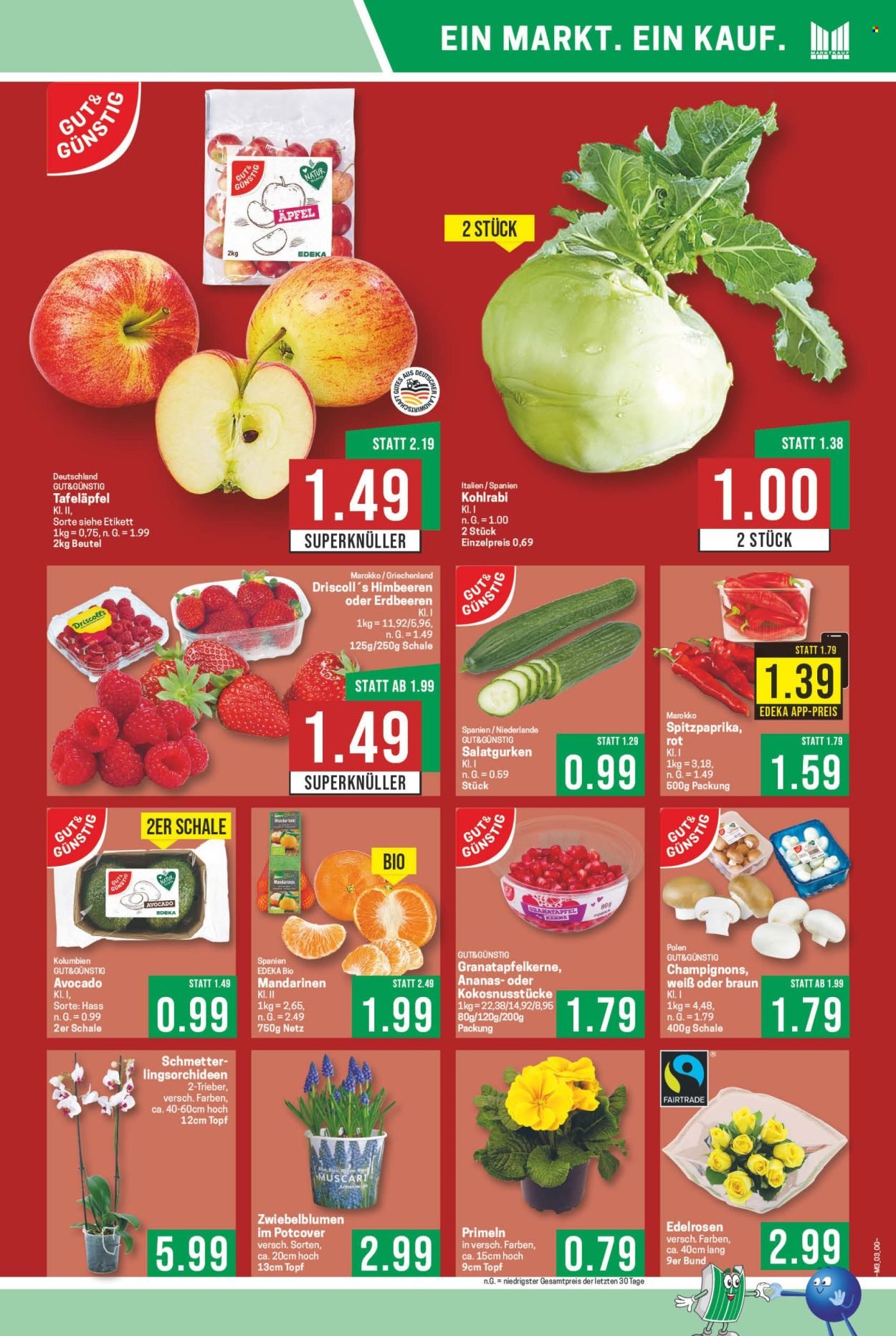 MARKTKAUF Prospekt - Ab Montag 12.01.2026