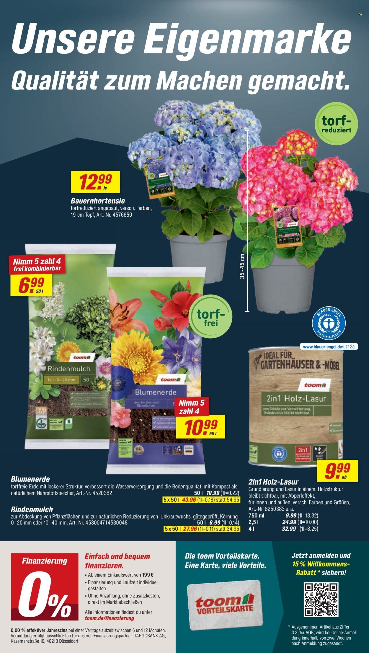 TOOM BAUMARKT Prospekt - Ab Samstag 6.06.2026