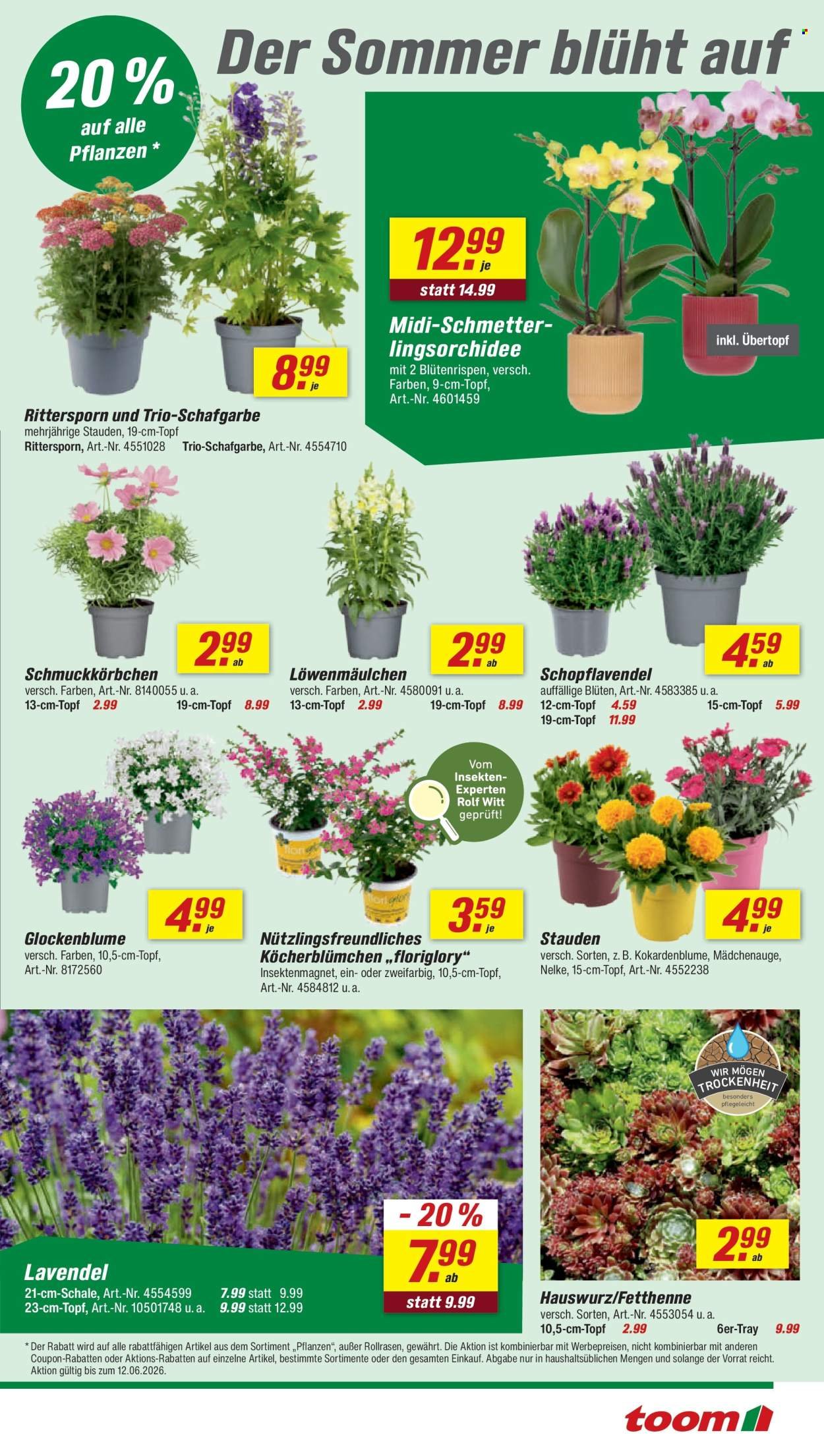TOOM BAUMARKT Prospekt - Ab Samstag 6.06.2026