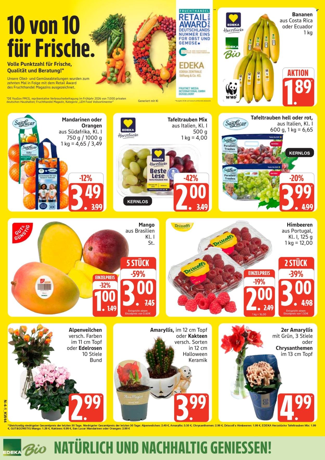 MARKTKAUF Prospekt - Ab Montag 26.10.2026