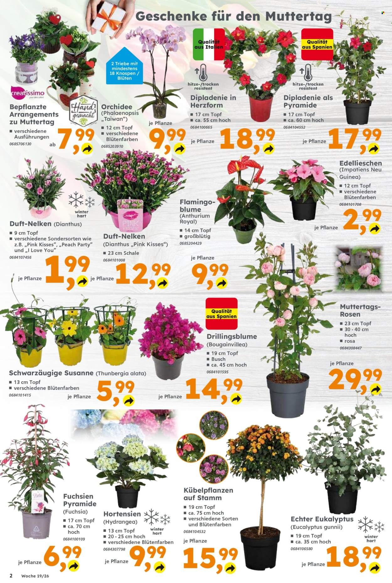 GLOBUS BAUMARKT Prospekt - Ab Montag 4.05.2026 (2026-05-04 - 2026-05-09)
