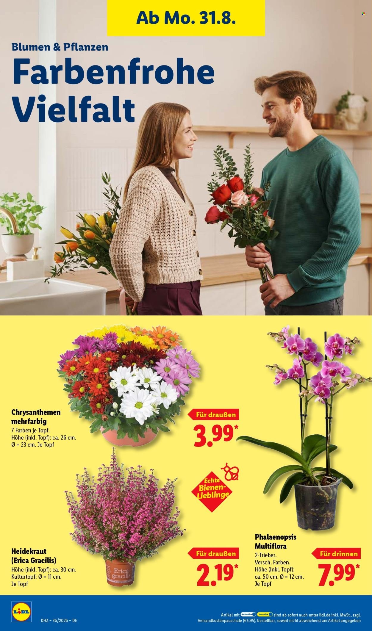 LIDL Prospekt - Ab Montag 31.08.2026