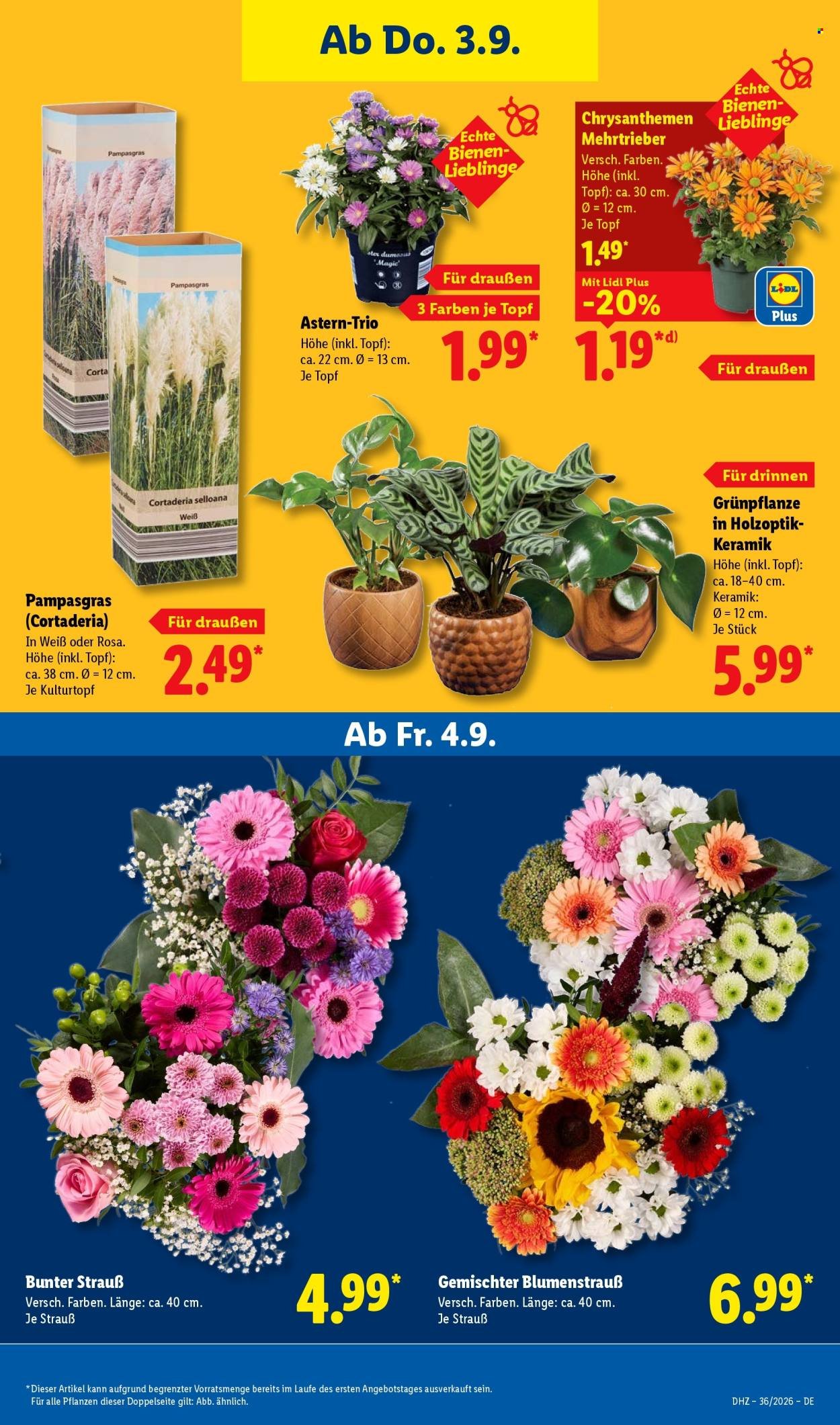 LIDL Prospekt - Ab Montag 31.08.2026