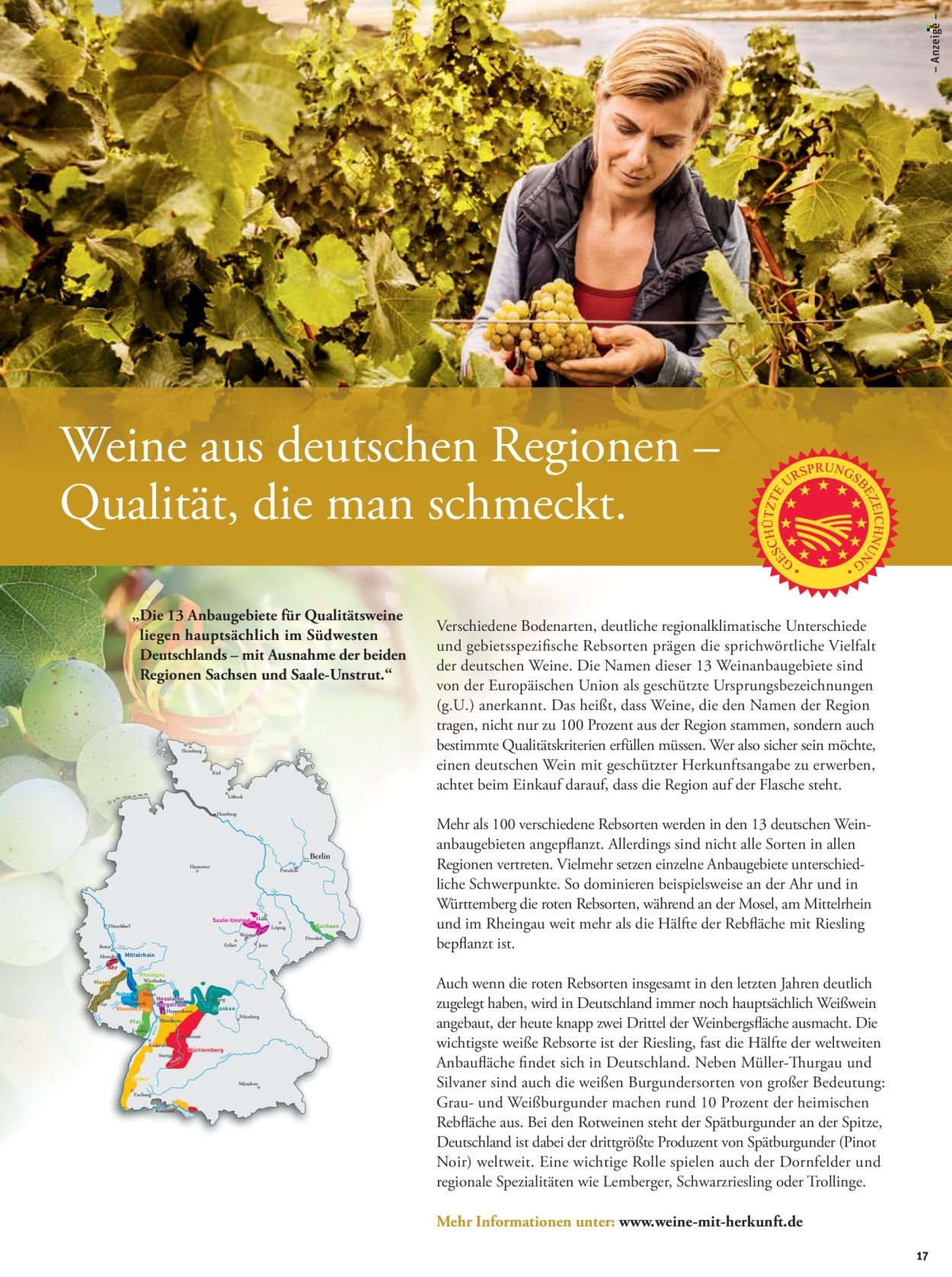 TEGUT... Prospekt - Ab Montag 16.02.2026