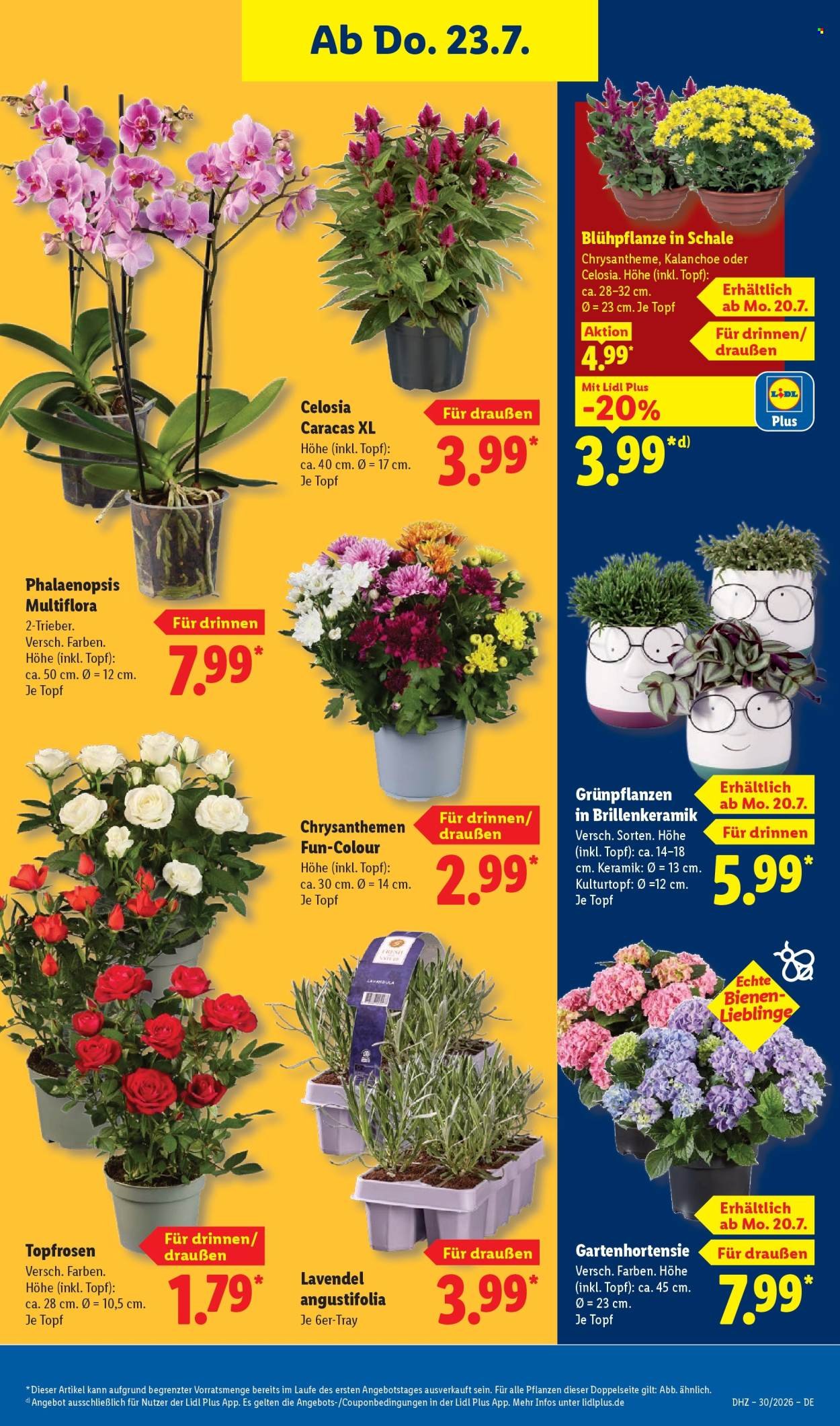 LIDL Prospekt - Ab Montag 20.07.2026