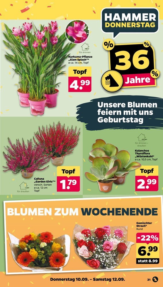 NETTO Prospekt - Ab Montag 7.09.2026
