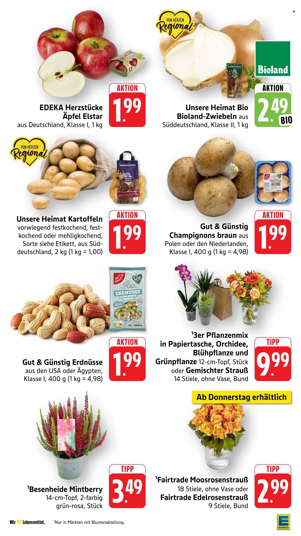 EDEKA Prospekt - Ab Montag 7.09.2026