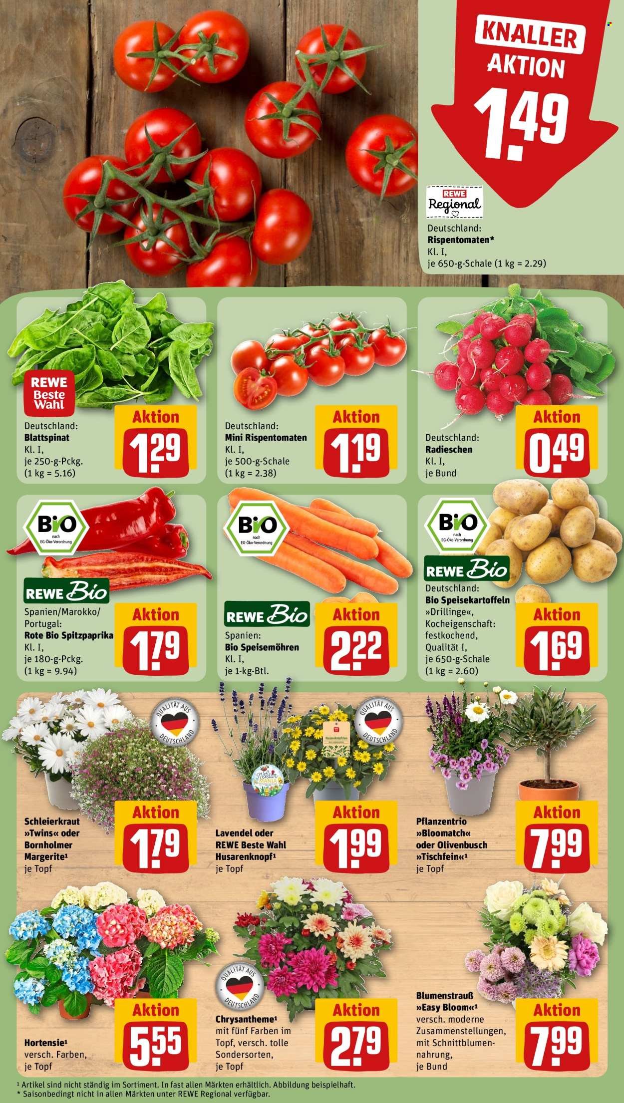 REWE Prospekt - Ab Montag 15.06.2026