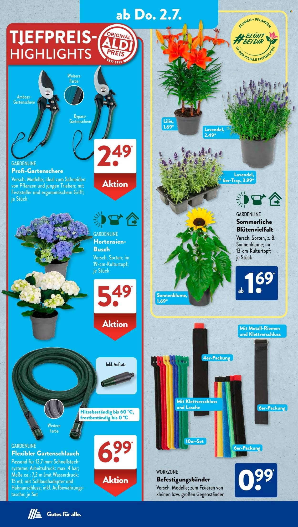 ALDI SÜD Prospekt - Ab Montag 29.06.2026