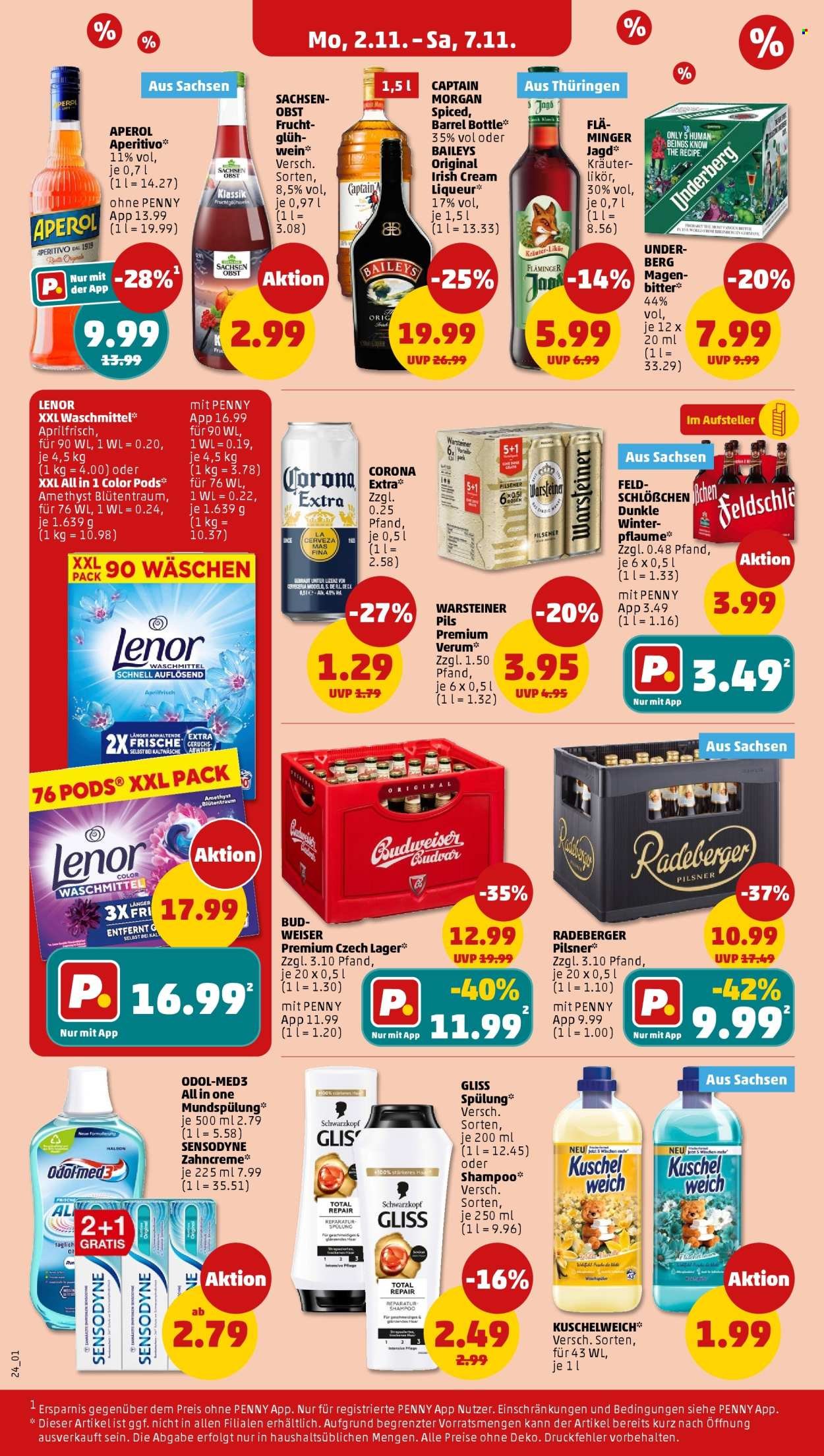 PENNY Prospekt - Ab Montag 2.11.2026