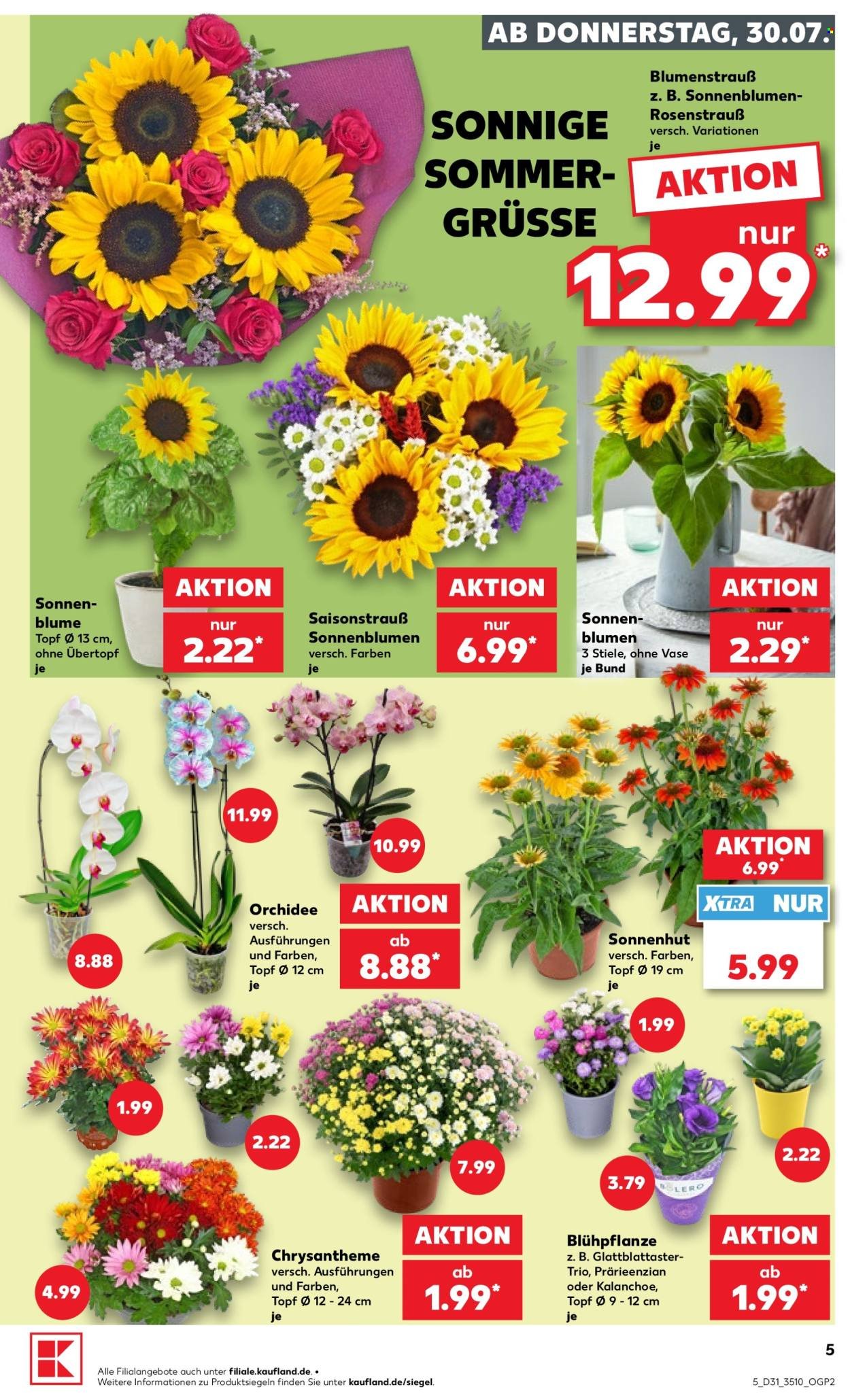 KAUFLAND Prospekt - Ab Donnerstag 30.07.2026