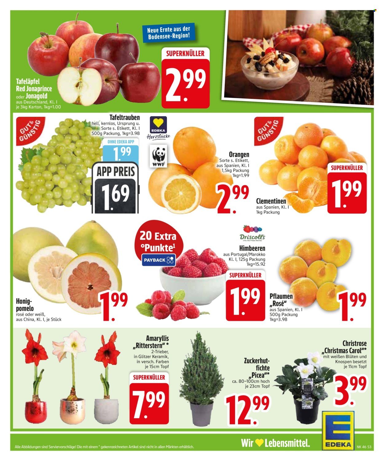 EDEKA Prospekt - Ab Montag 10.11.2025