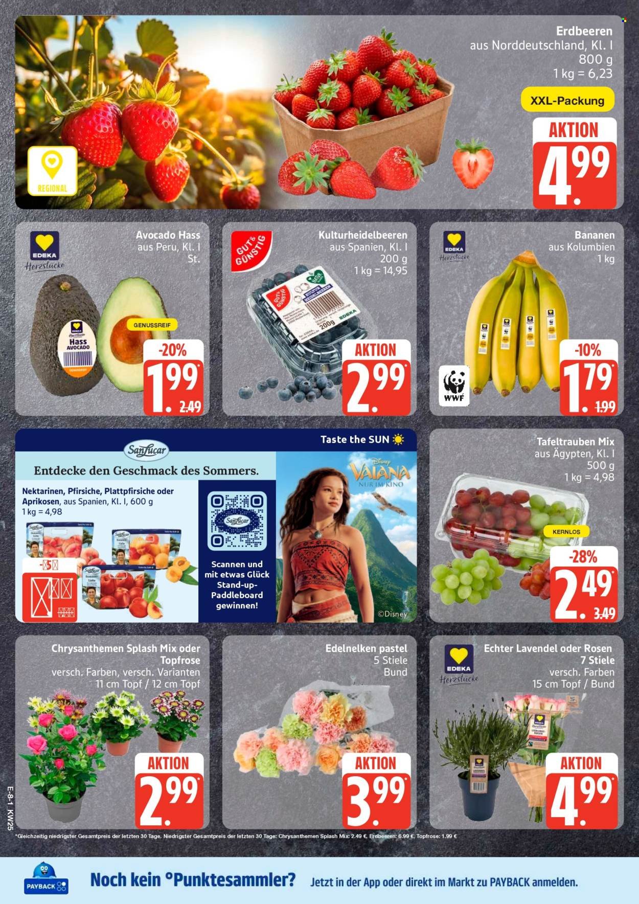 EDEKA Prospekt - Ab Montag 15.06.2026