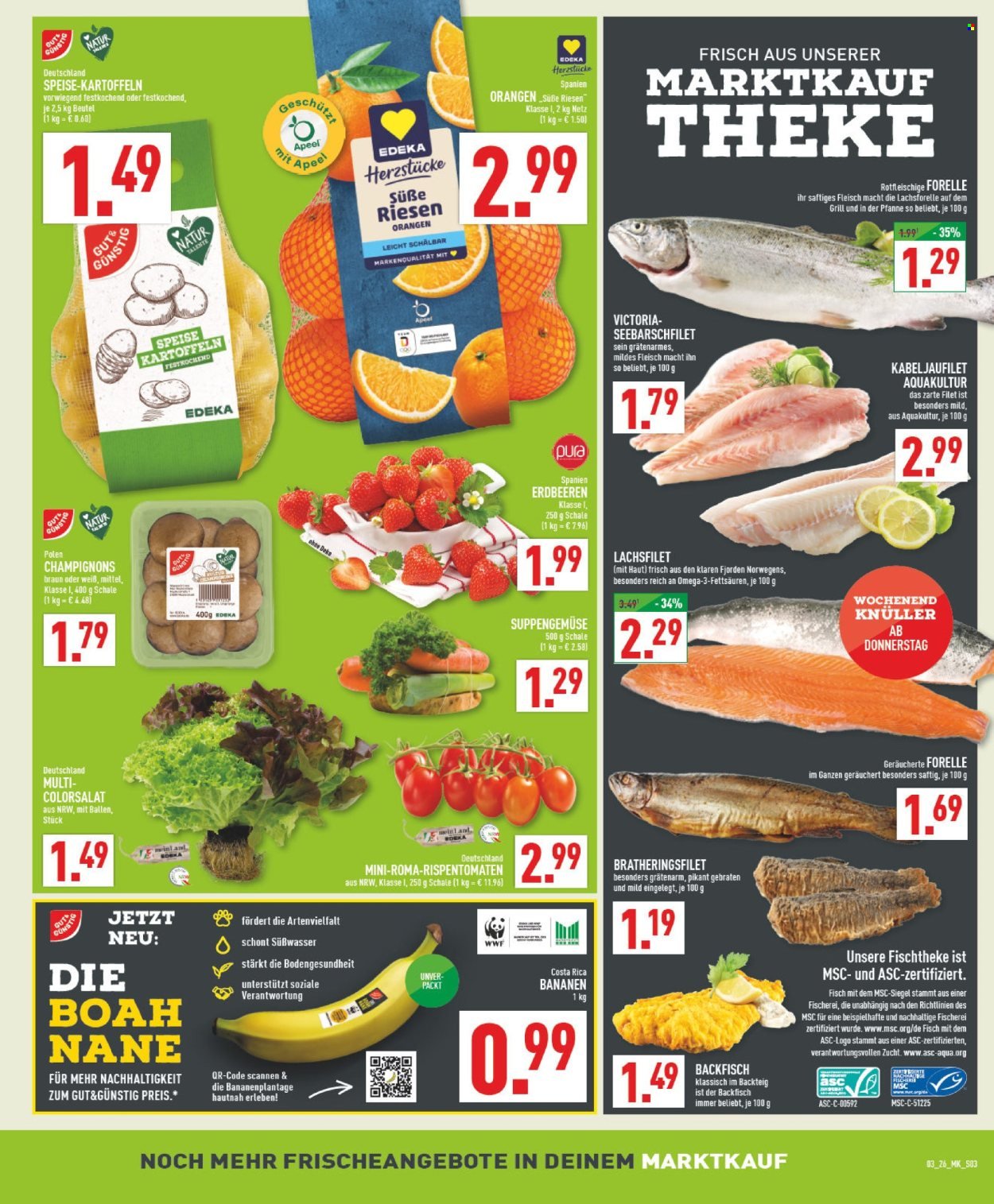 MARKTKAUF Prospekt - Ab Montag 12.01.2026