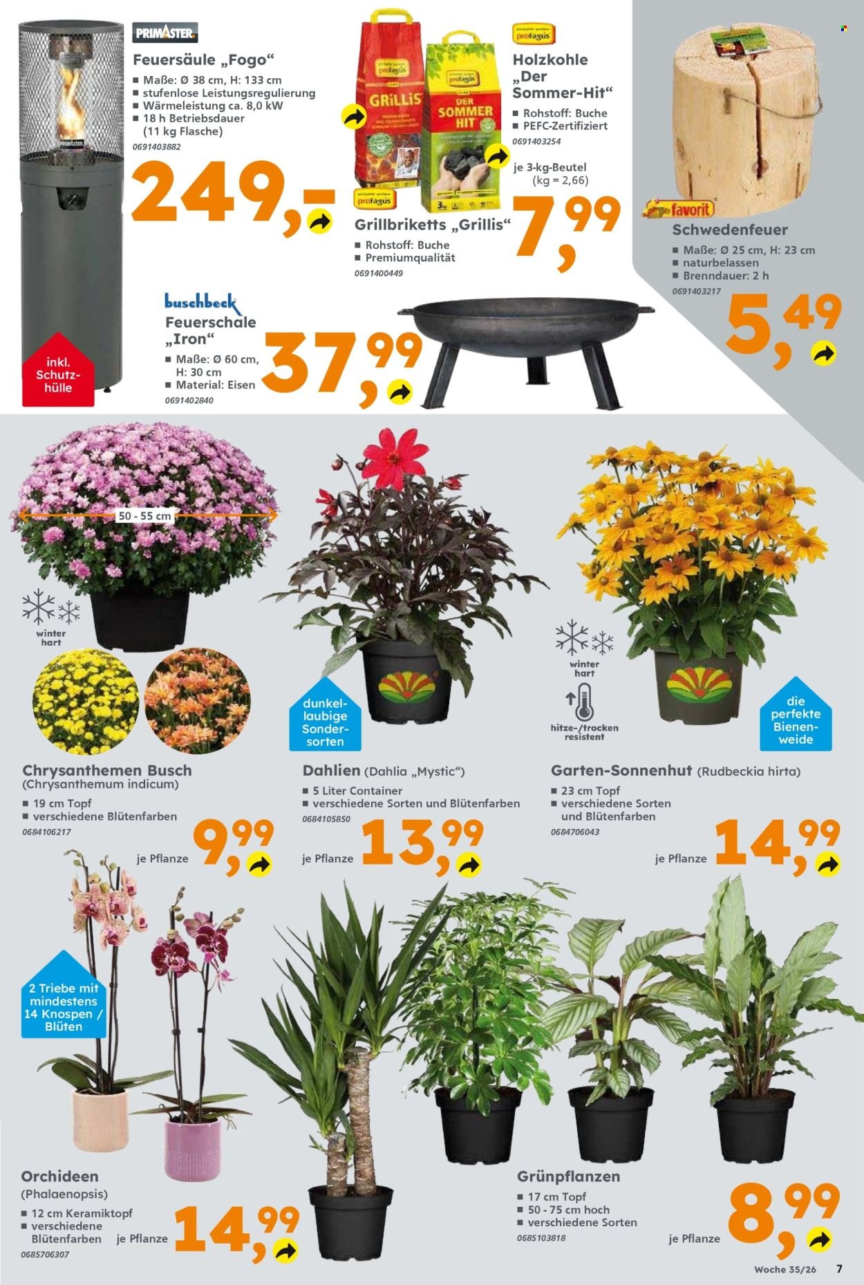 GLOBUS BAUMARKT Prospekt - Ab Montag 24.08.2026