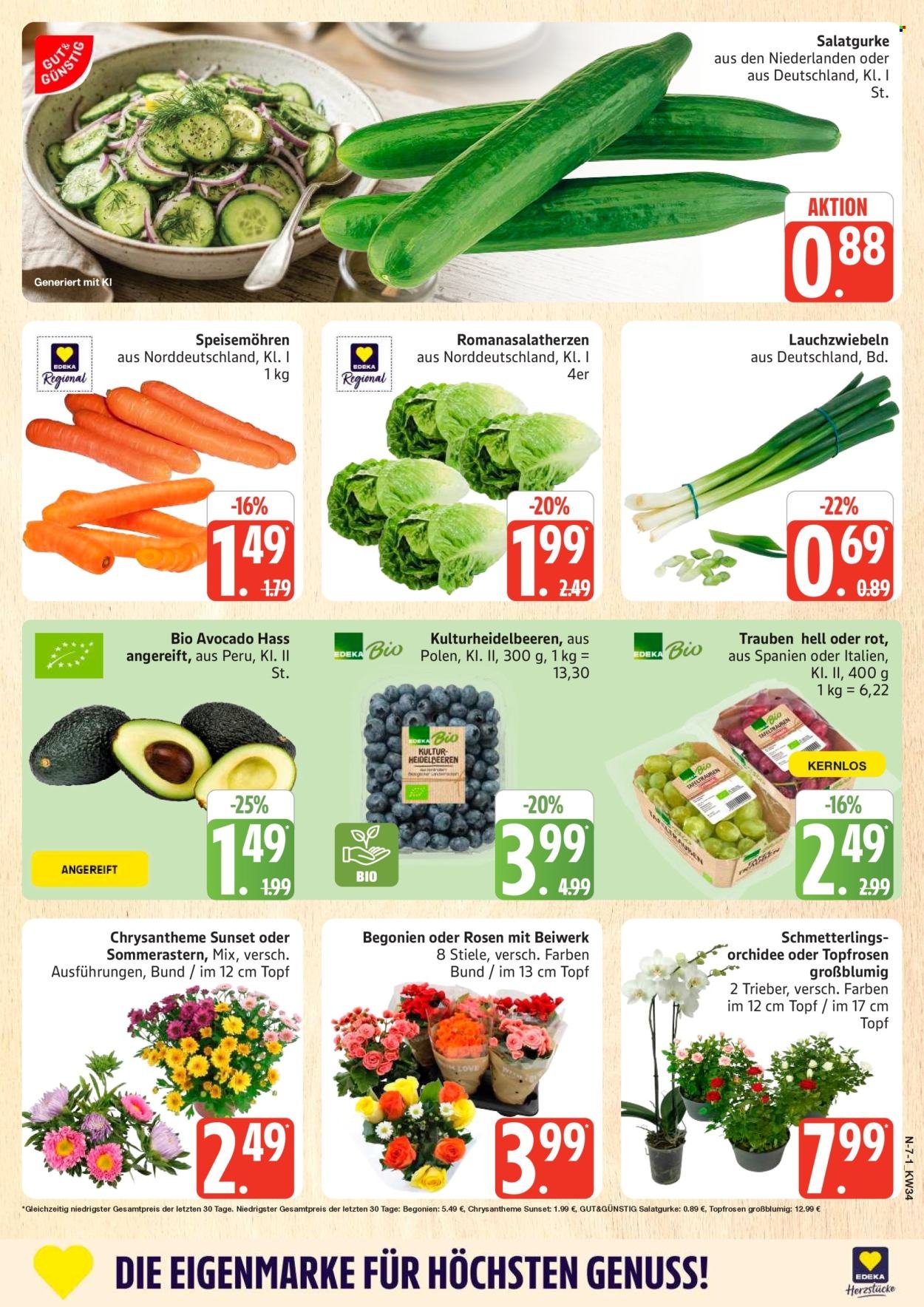 MARKTKAUF Prospekt - Ab Montag 17.08.2026