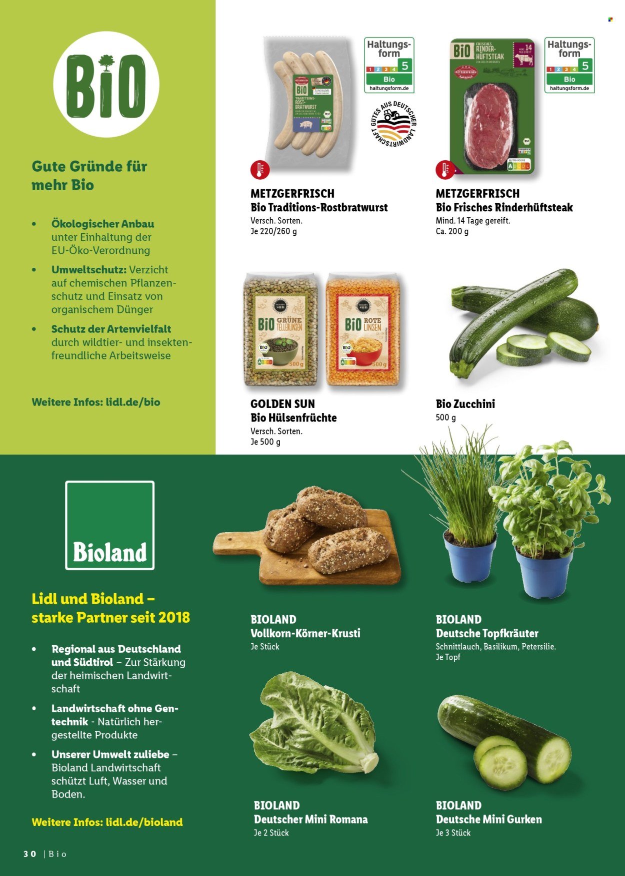 LIDL Prospekt - Grillmagazin (2026-04-25 - 2026-06-06)