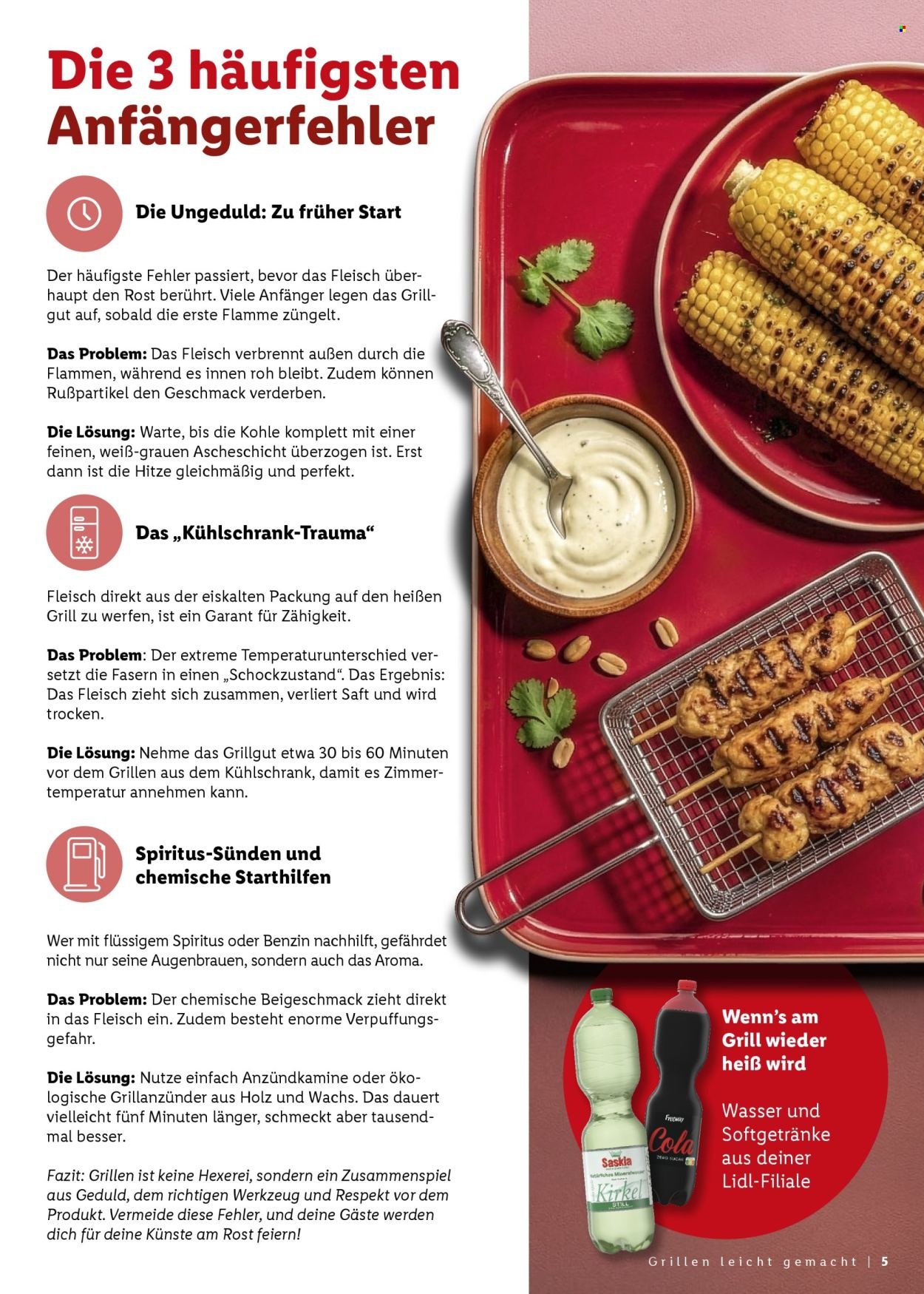 LIDL Prospekt - Grillmagazin (2026-04-25 - 2026-06-06)