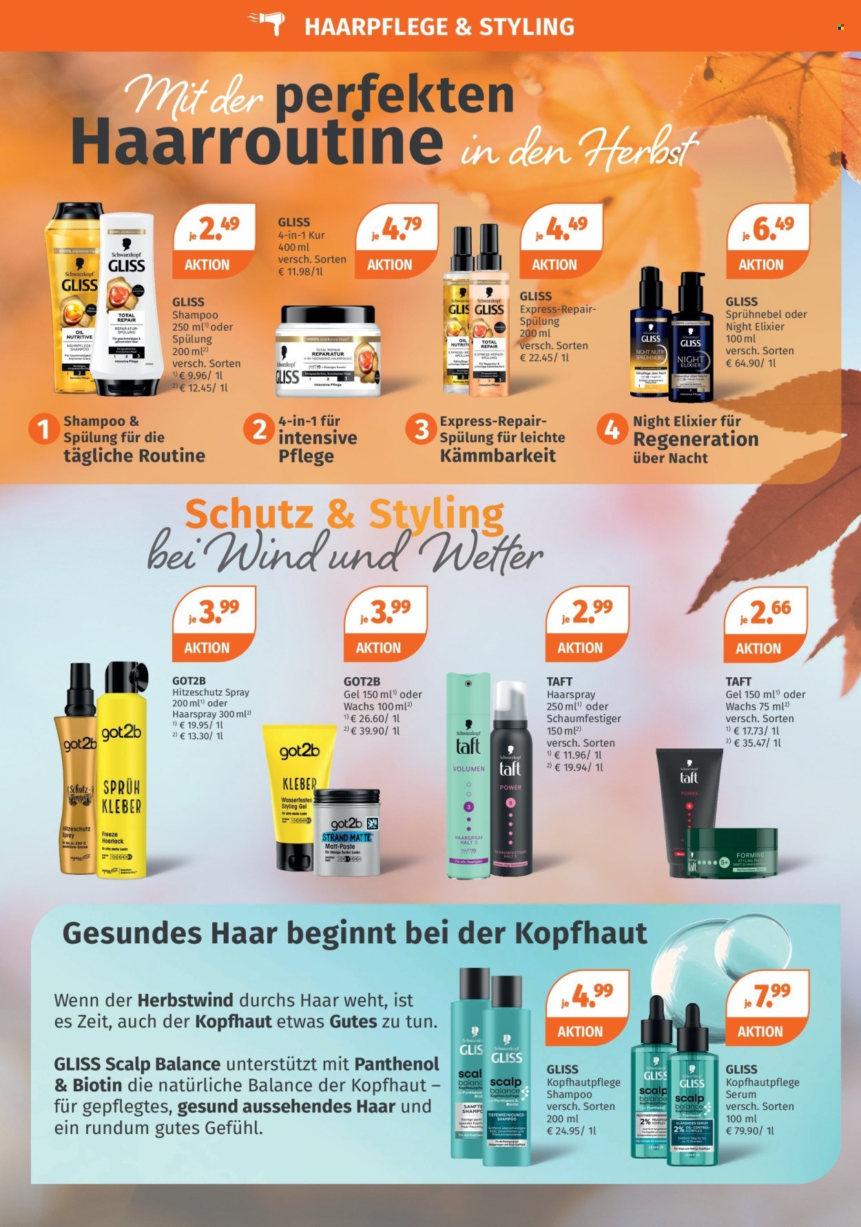 MÜLLER Prospekt - Angebote für einen glanzvollen Herbst!