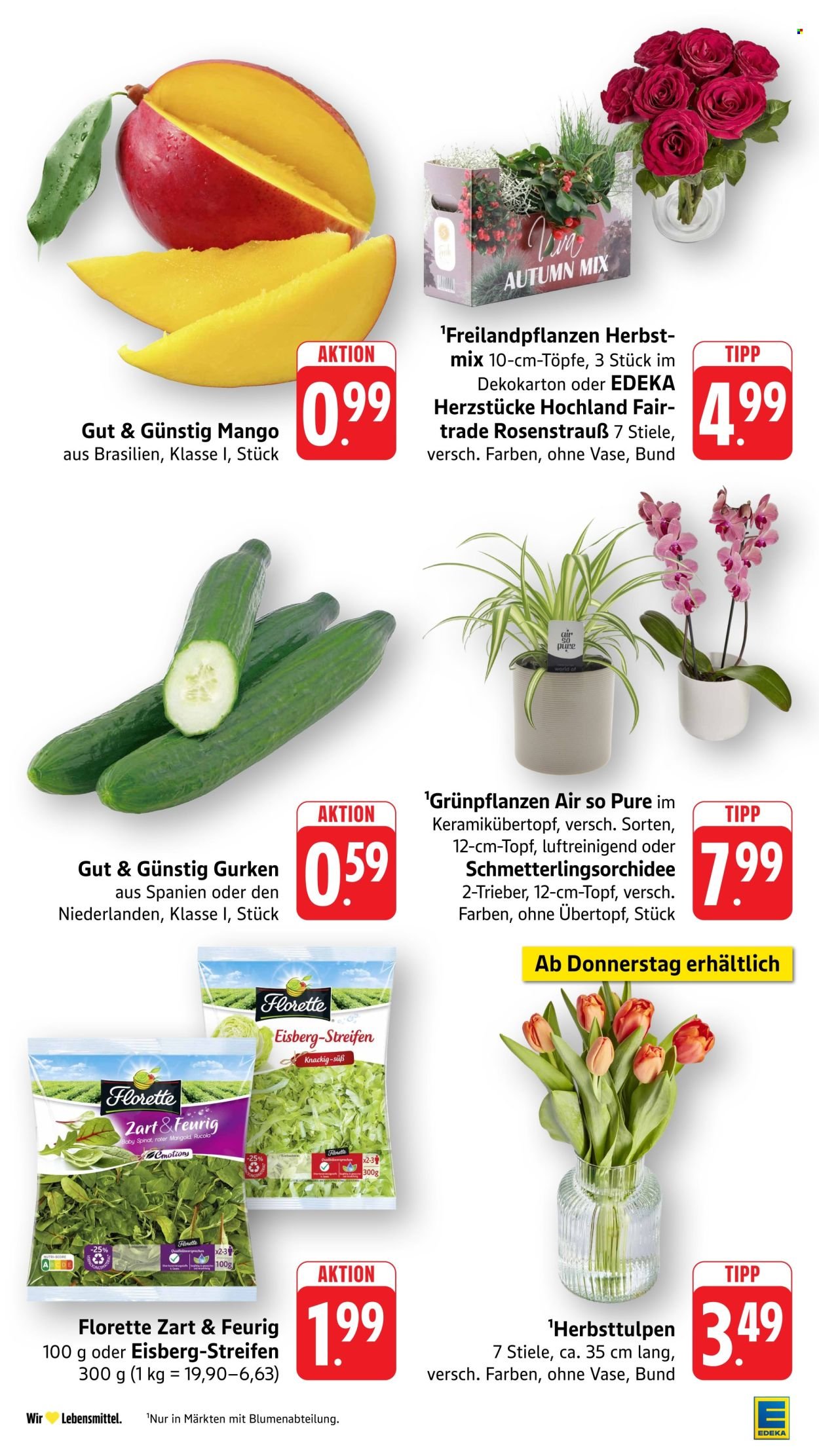 EDEKA Prospekt - Ab Montag 12.10.2026