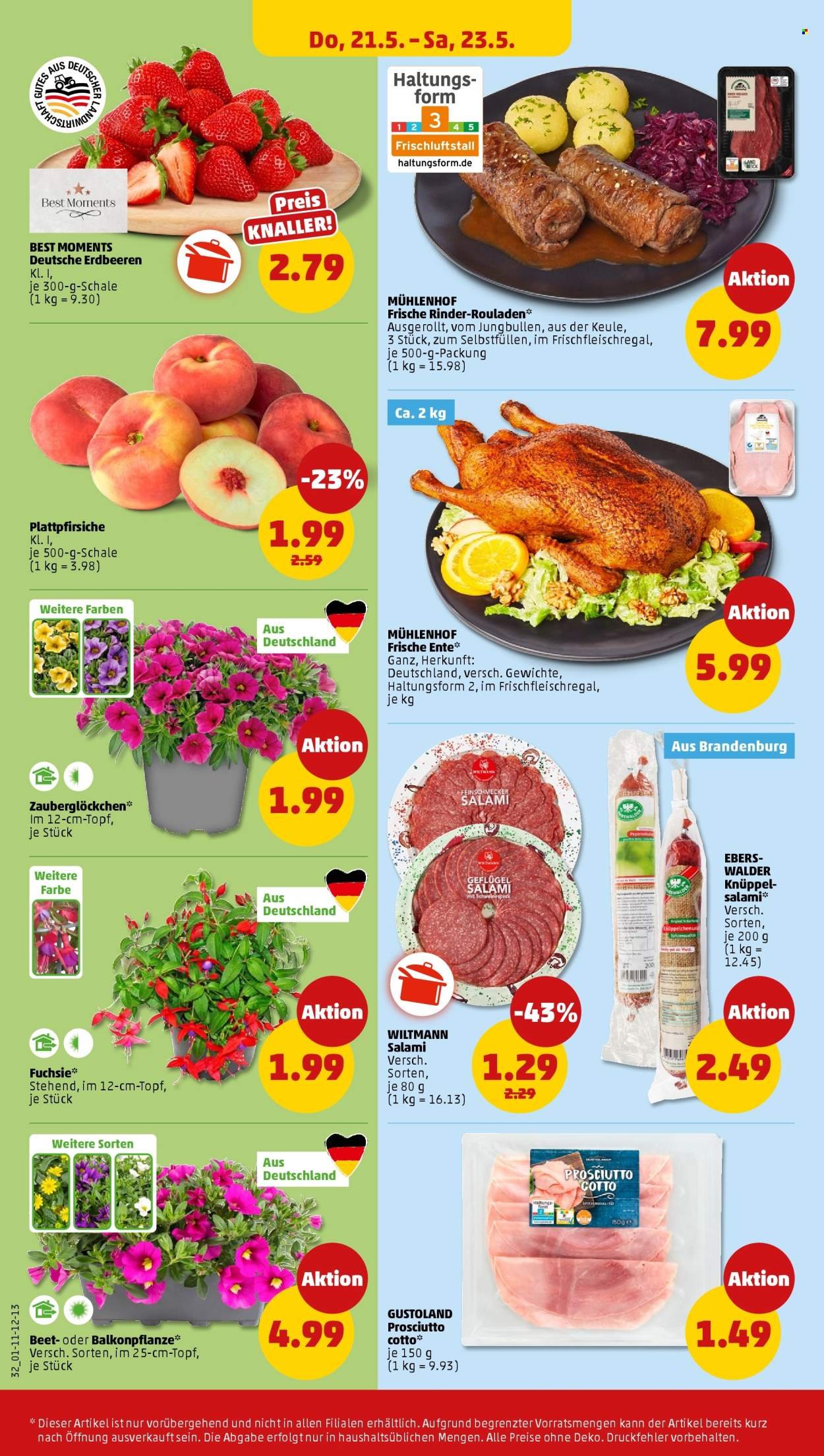 PENNY Prospekt - Ab Montag 18.05.2026 (2026-05-18 - 2026-05-23)