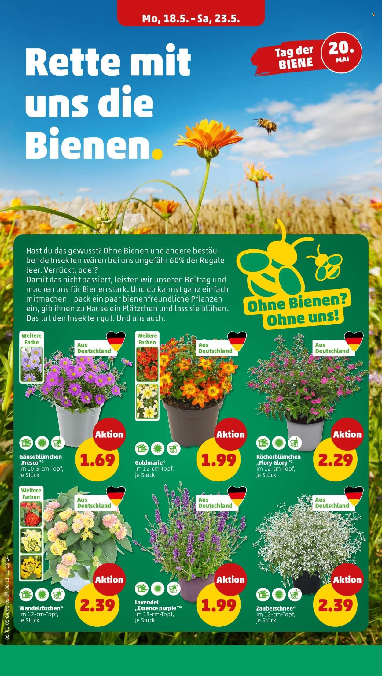 PENNY Prospekt - Ab Montag 18.05.2026 (2026-05-18 - 2026-05-23)