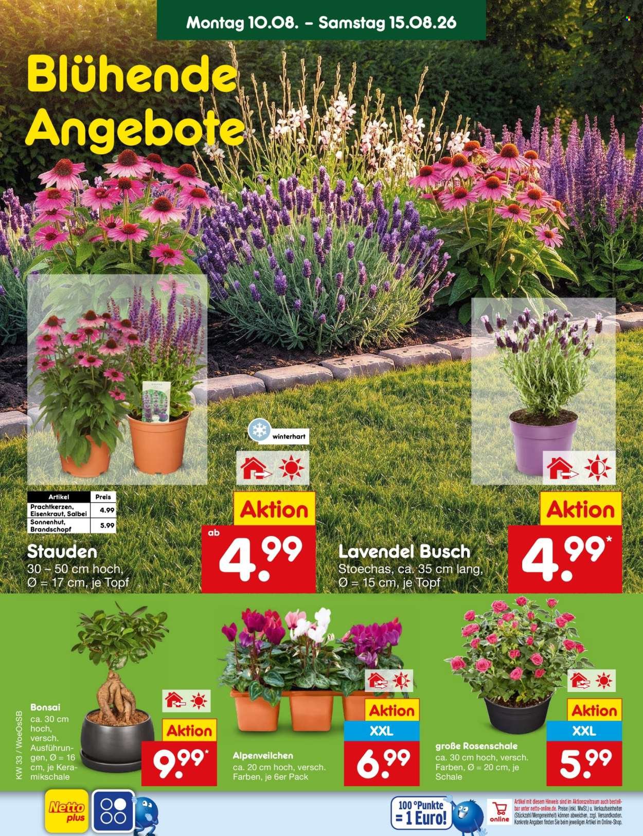NETTO MARKEN-DISCOUNT Prospekt - Ab Montag 10.08.2026