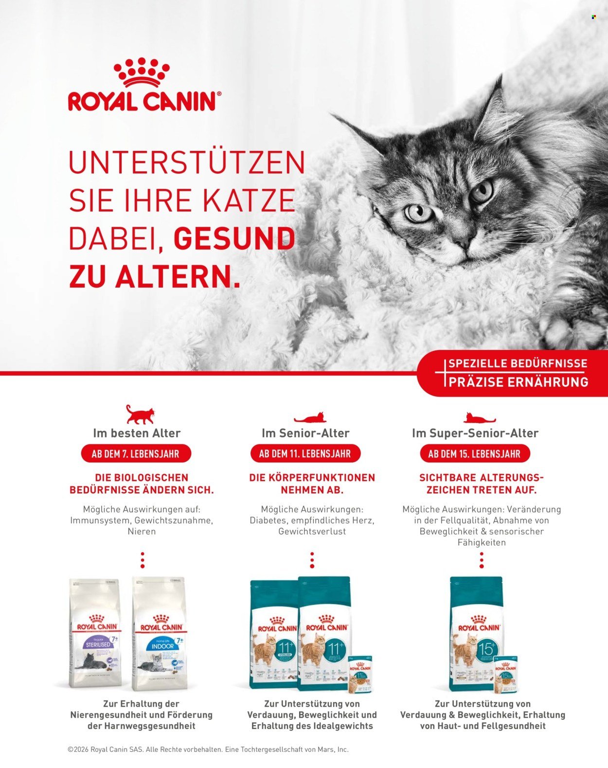 FRESSNAPF Prospekt - Ab Dienstag 1.09.2026
