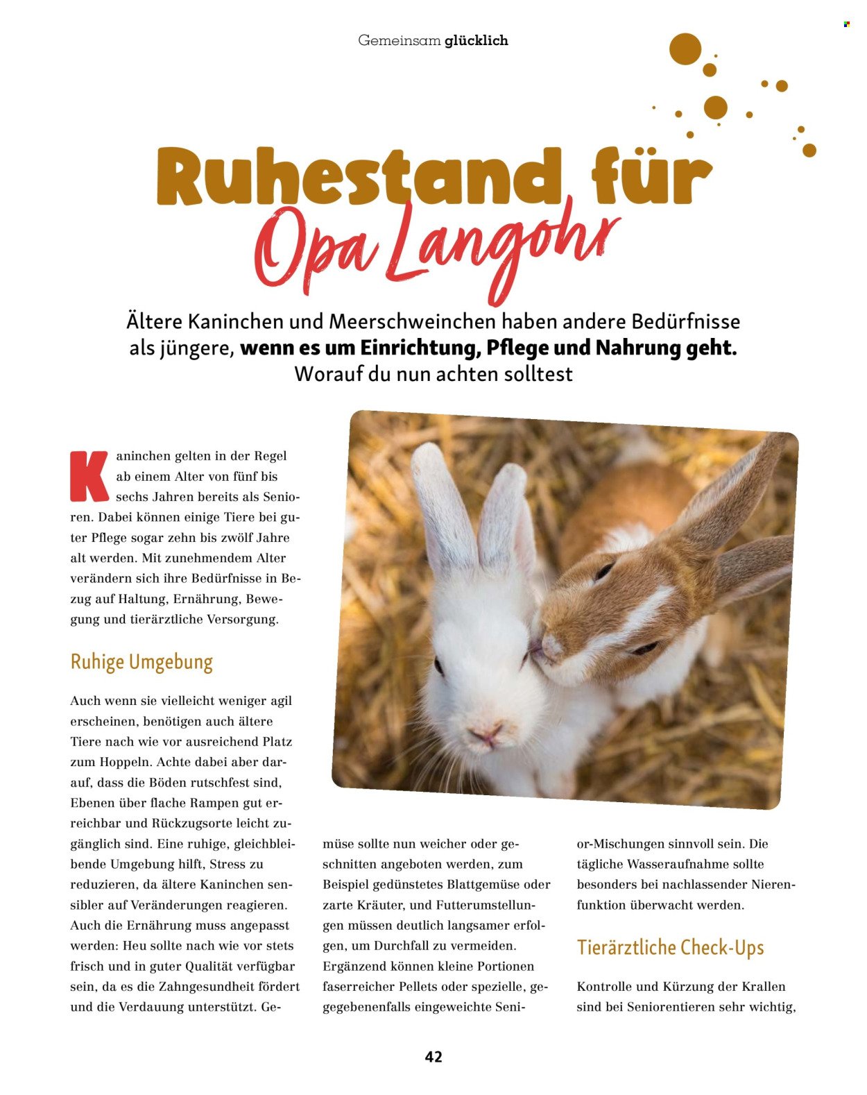 FRESSNAPF Prospekt - Ab Dienstag 1.09.2026