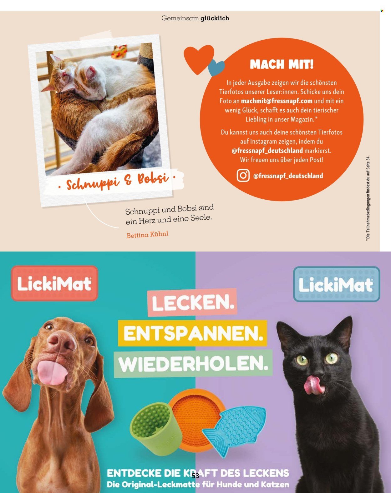 FRESSNAPF Prospekt - Ab Dienstag 1.09.2026