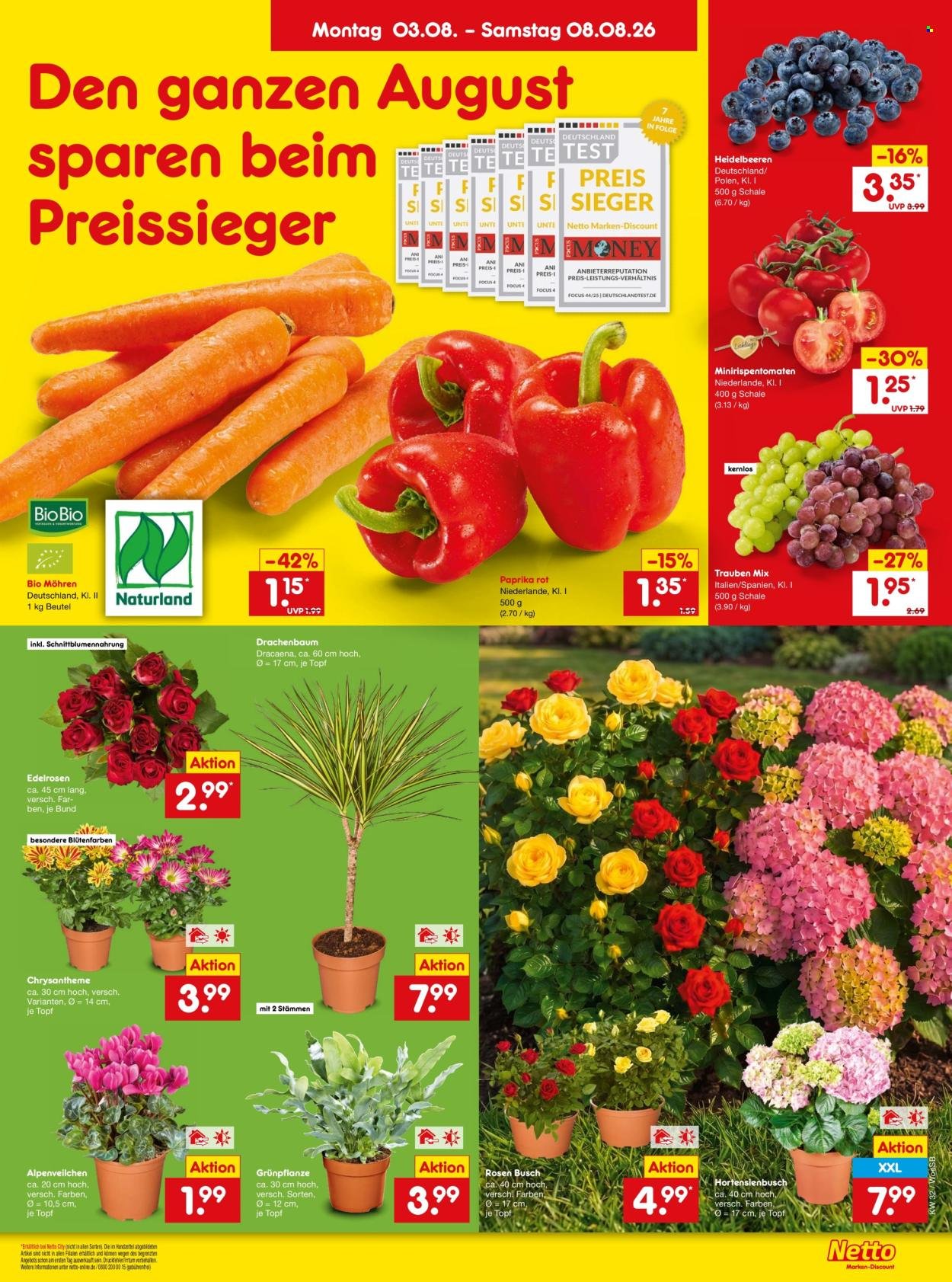 NETTO MARKEN-DISCOUNT Prospekt - Ab Montag 3.08.2026