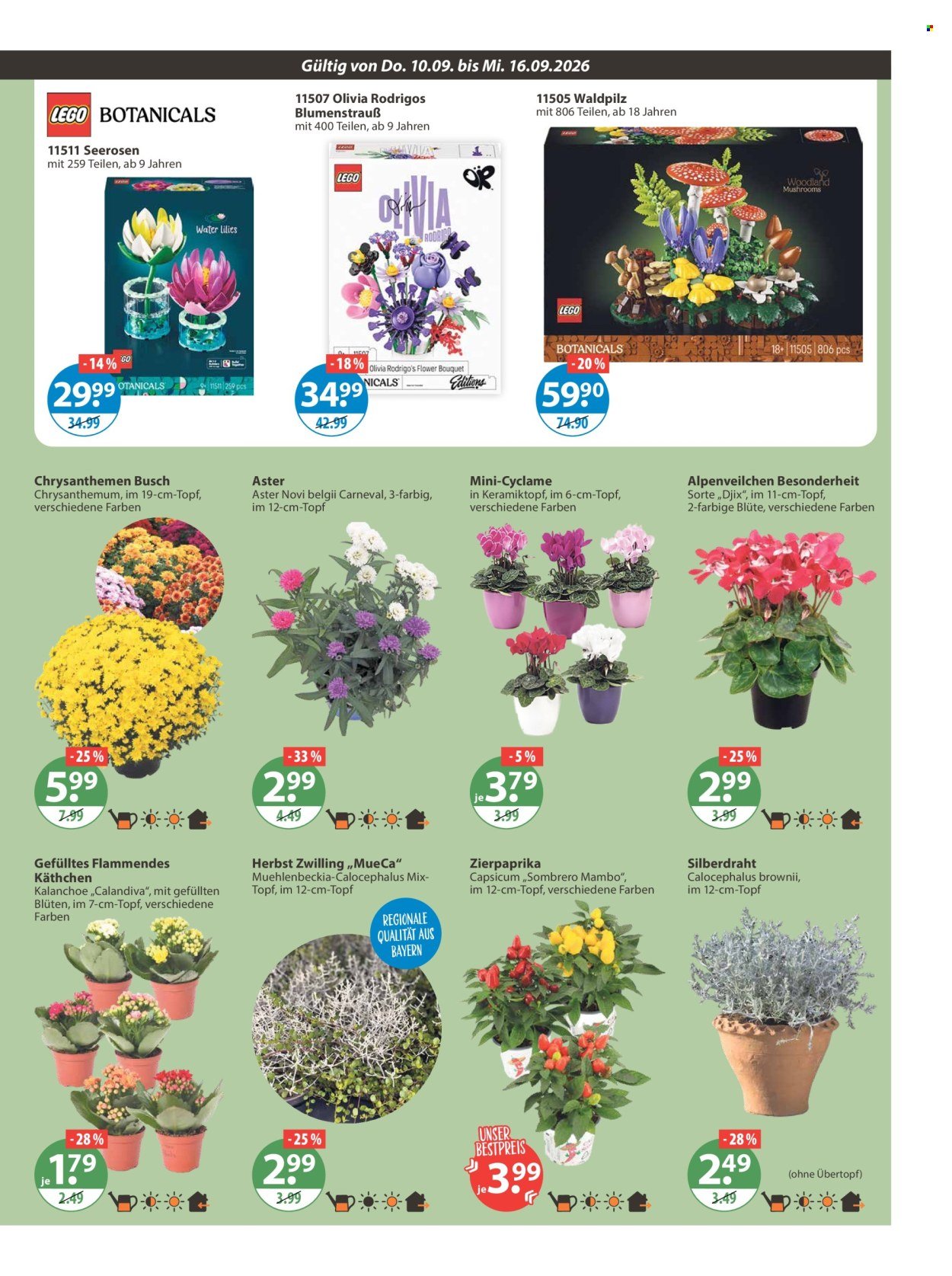 V-MARKT Prospekt - Ab Donnerstag 10.09.2026