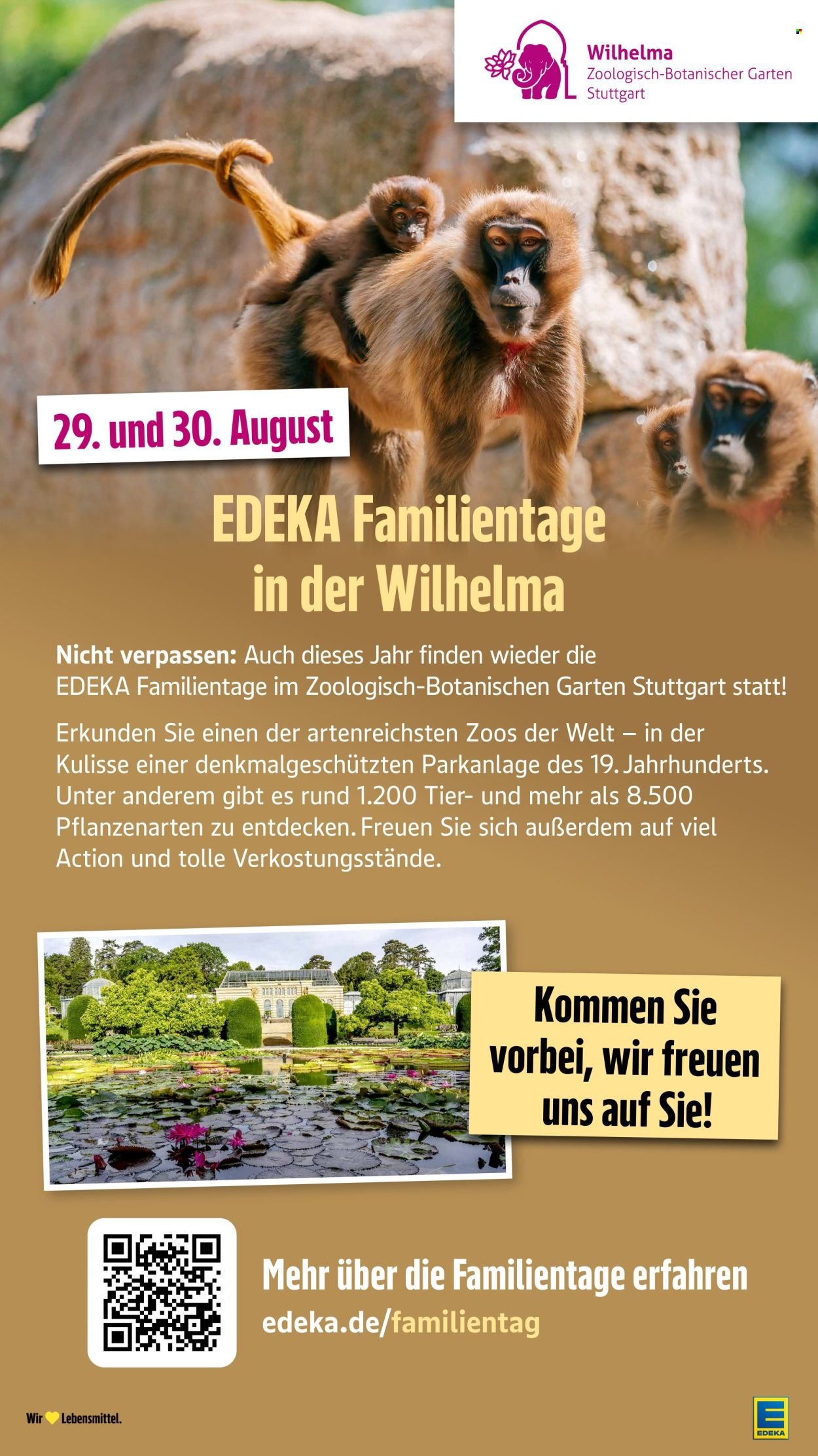 EDEKA Prospekt - Ab Montag 3.08.2026
