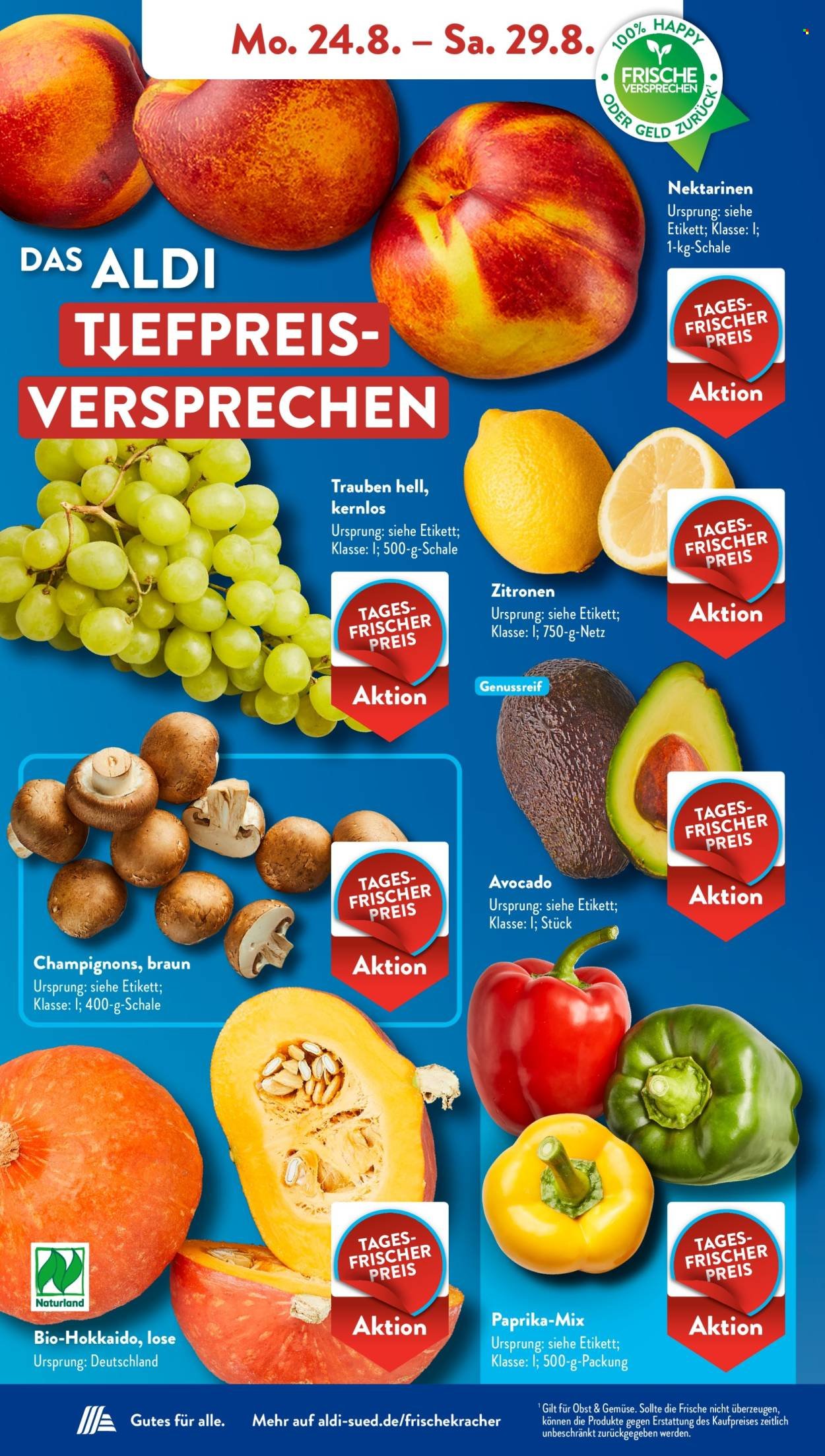 ALDI SÜD Prospekt - Ab Montag 24.08.2026