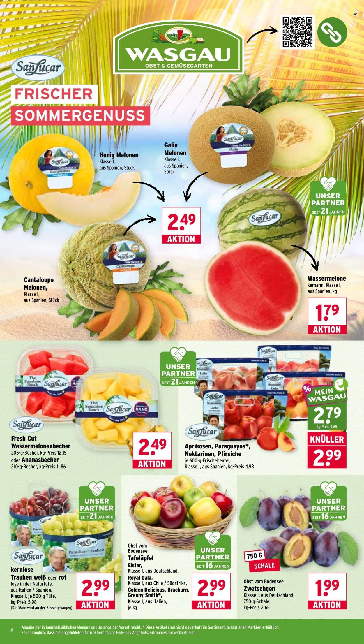 WASGAU Prospekt - Ab Montag 20.07.2026