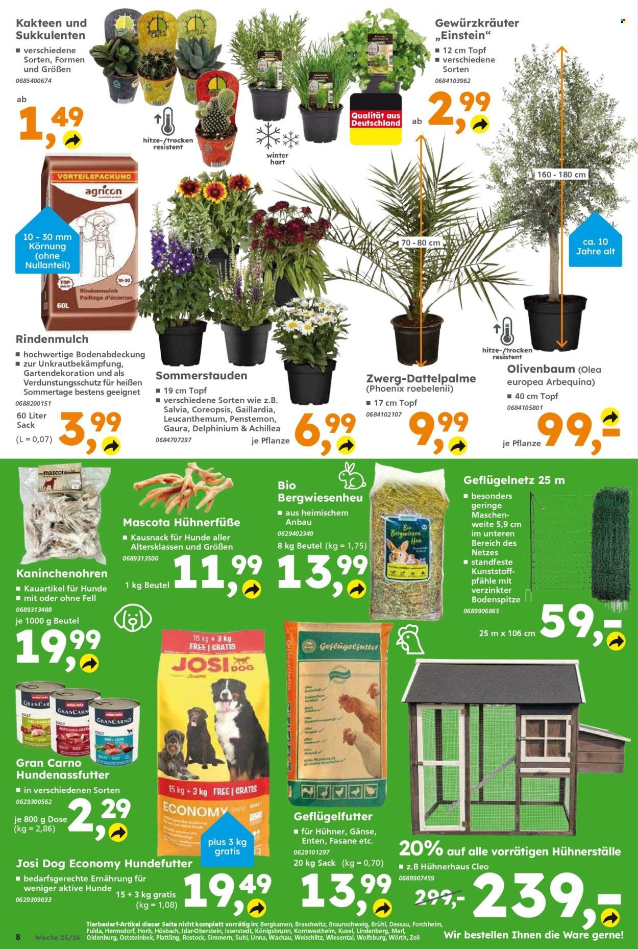 GLOBUS BAUMARKT Prospekt - Ab Montag 15.06.2026