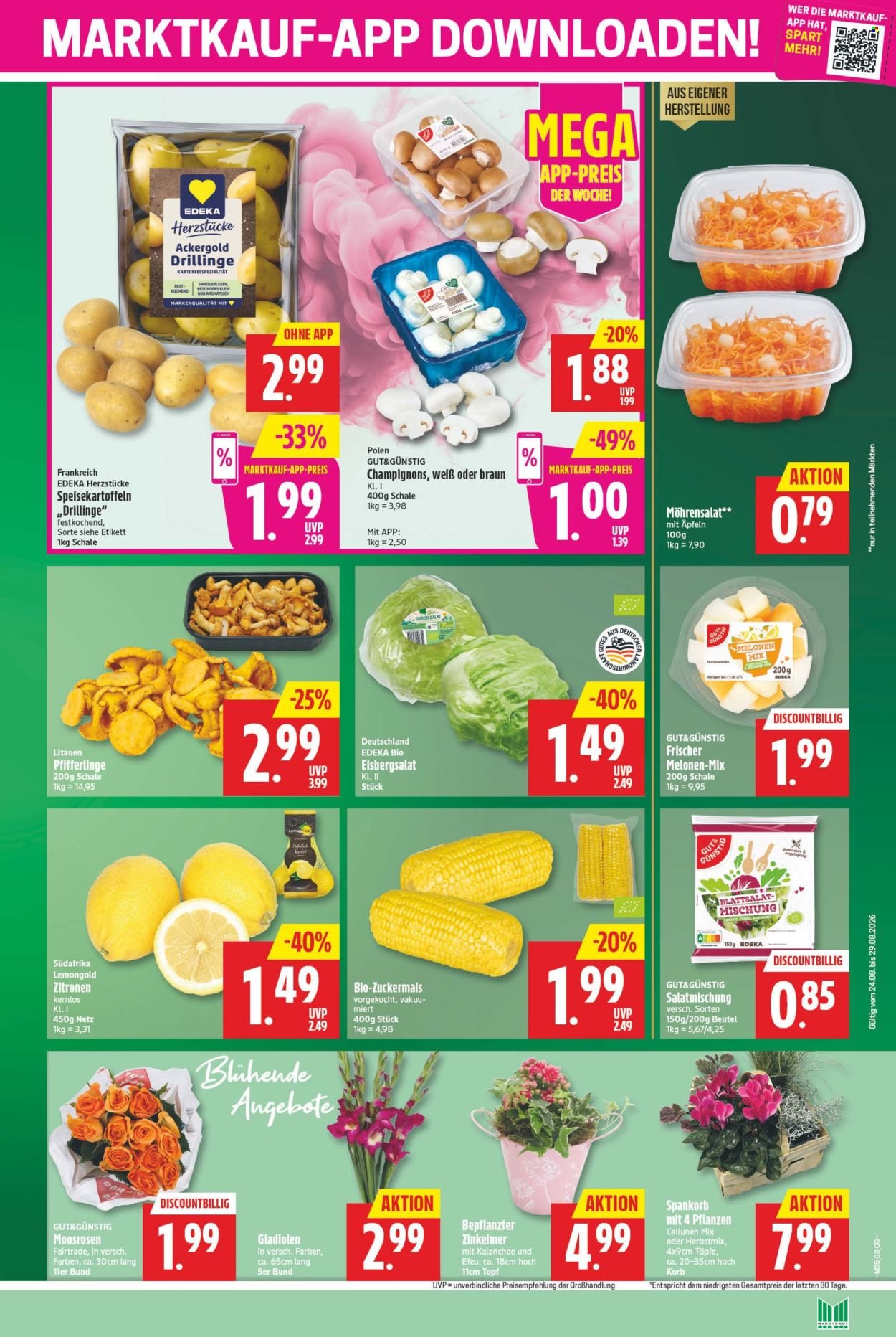 MARKTKAUF Prospekt - Ab Montag 24.08.2026