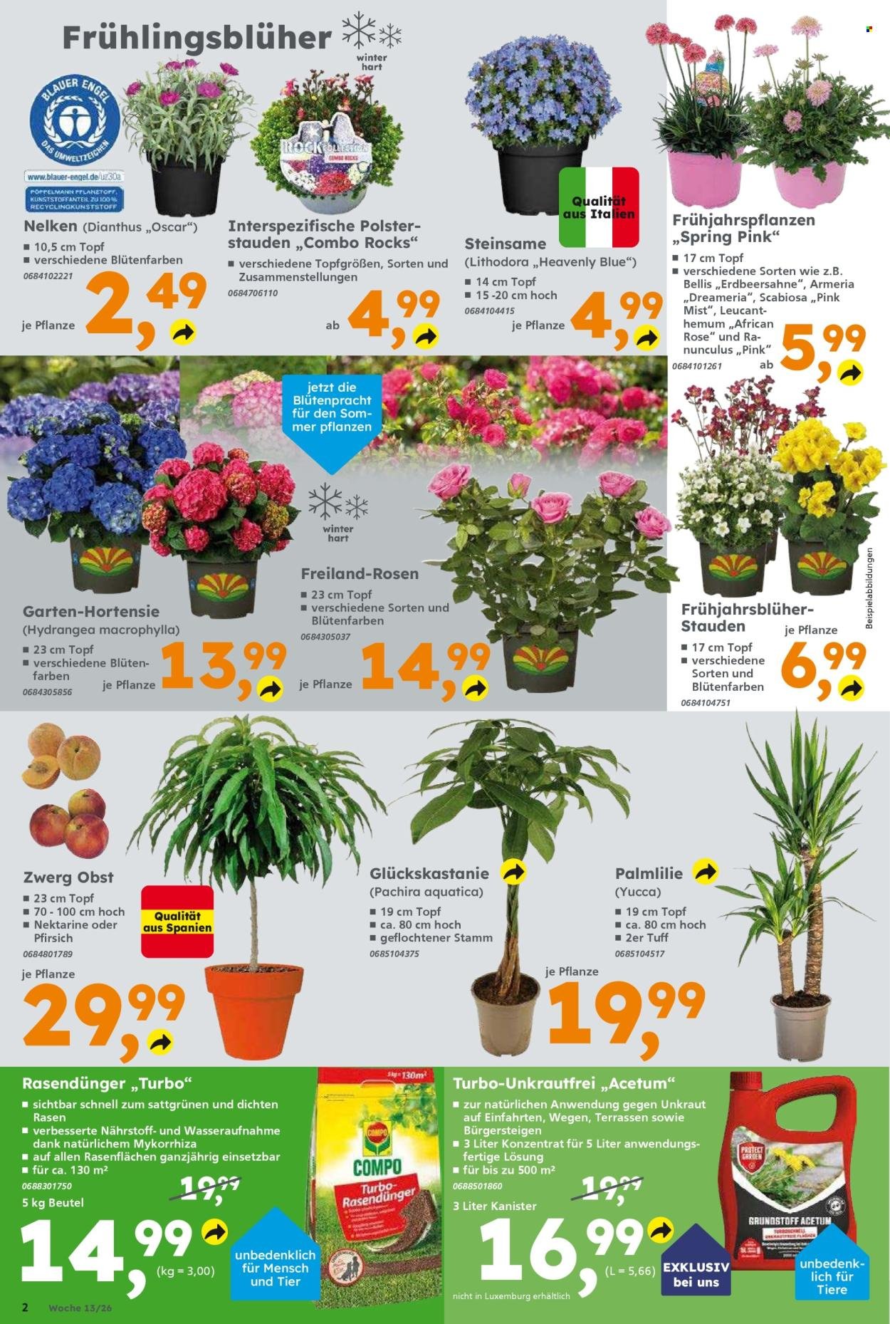 GLOBUS BAUMARKT Prospekt - Ab Montag 23.03.2026