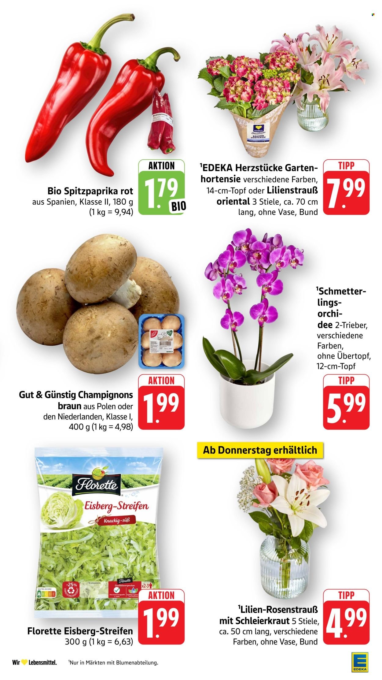 EDEKA Prospekt - Ab Montag 22.06.2026