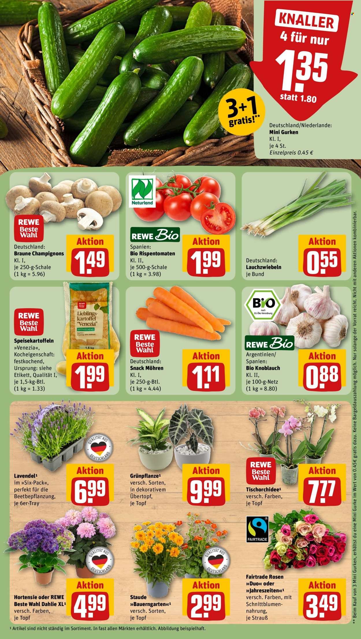 REWE Prospekt - Ab Montag 29.06.2026