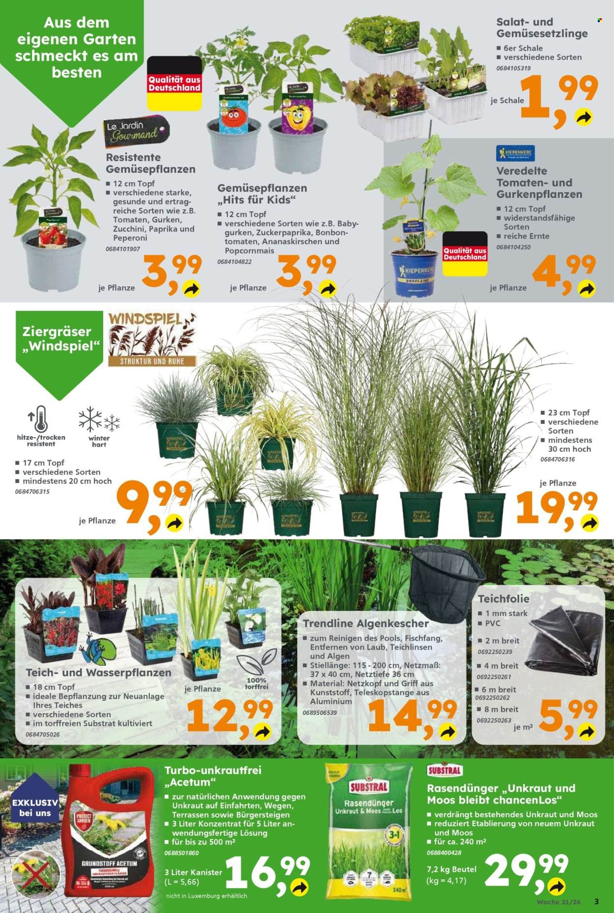 GLOBUS BAUMARKT Prospekt - Ab Montag 18.05.2026