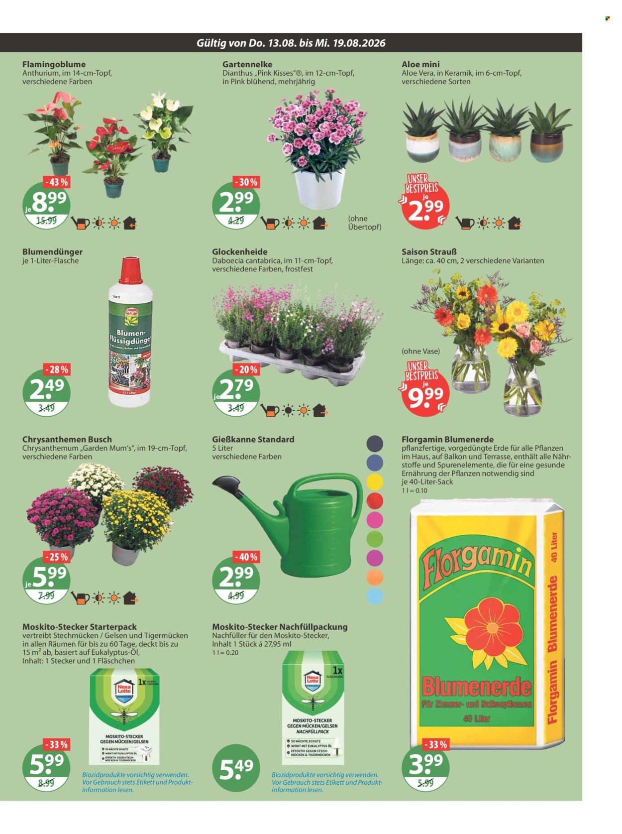 V-MARKT Prospekt - Ab Donnerstag 13.08.2026