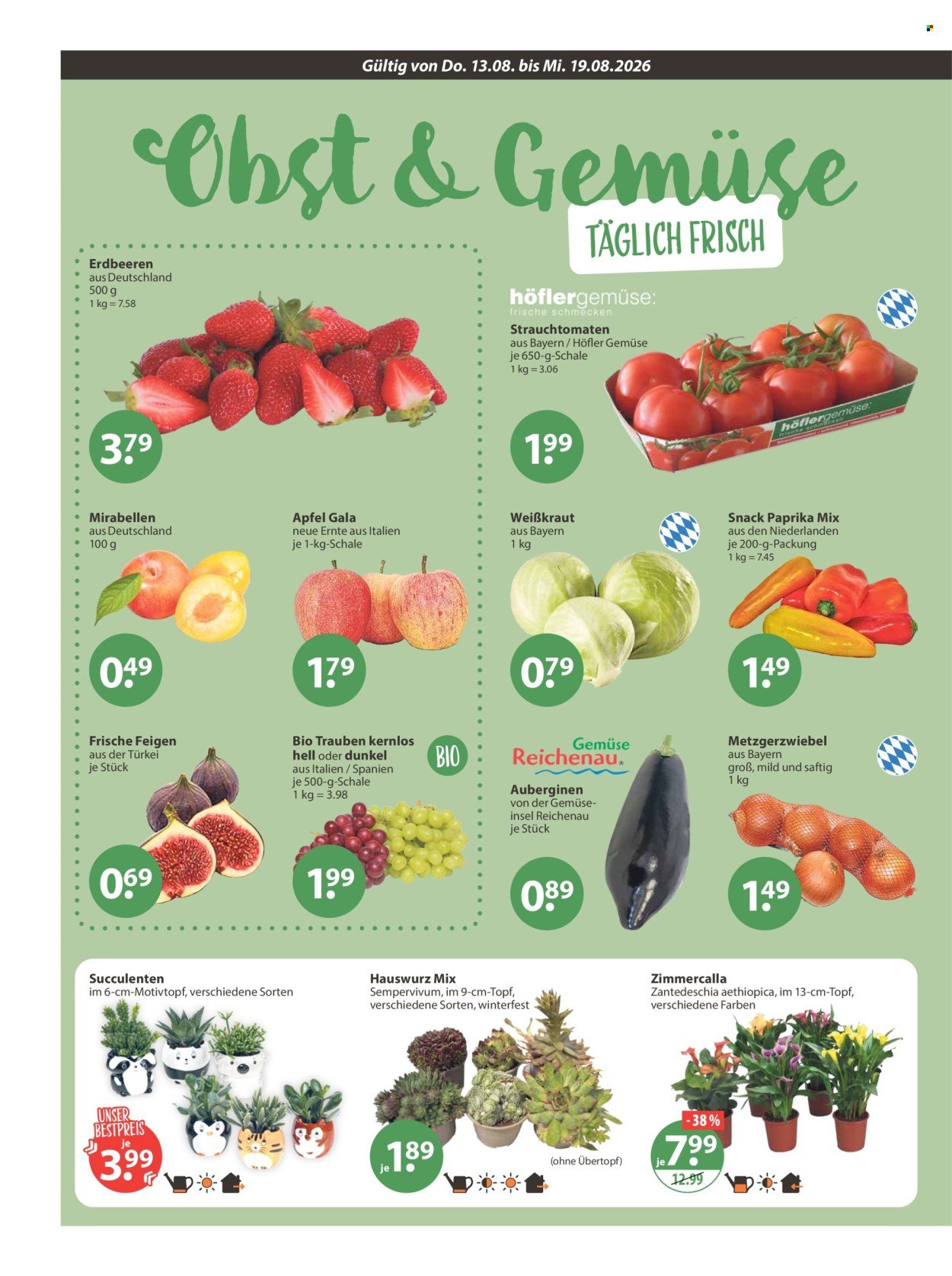 V-MARKT Prospekt - Ab Donnerstag 13.08.2026