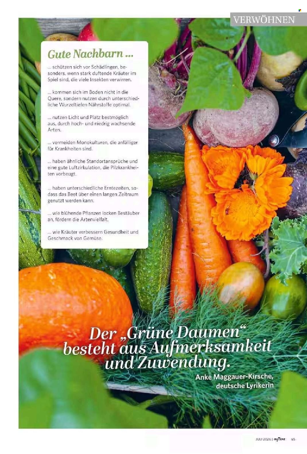 FAMILA Prospekt - myTime Magazin