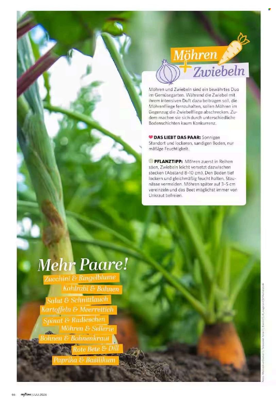 FAMILA Prospekt - myTime Magazin