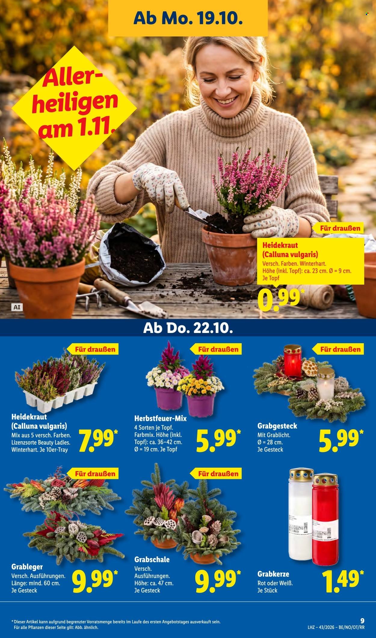 LIDL Prospekt - Ab Montag 19.10.2026