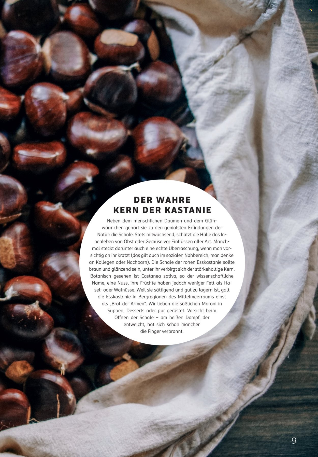 ROSSMANN Prospekt - Centaur