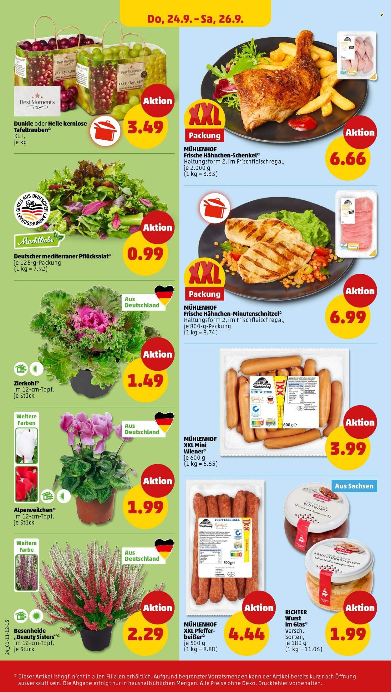PENNY Prospekt - Ab Montag 21.09.2026