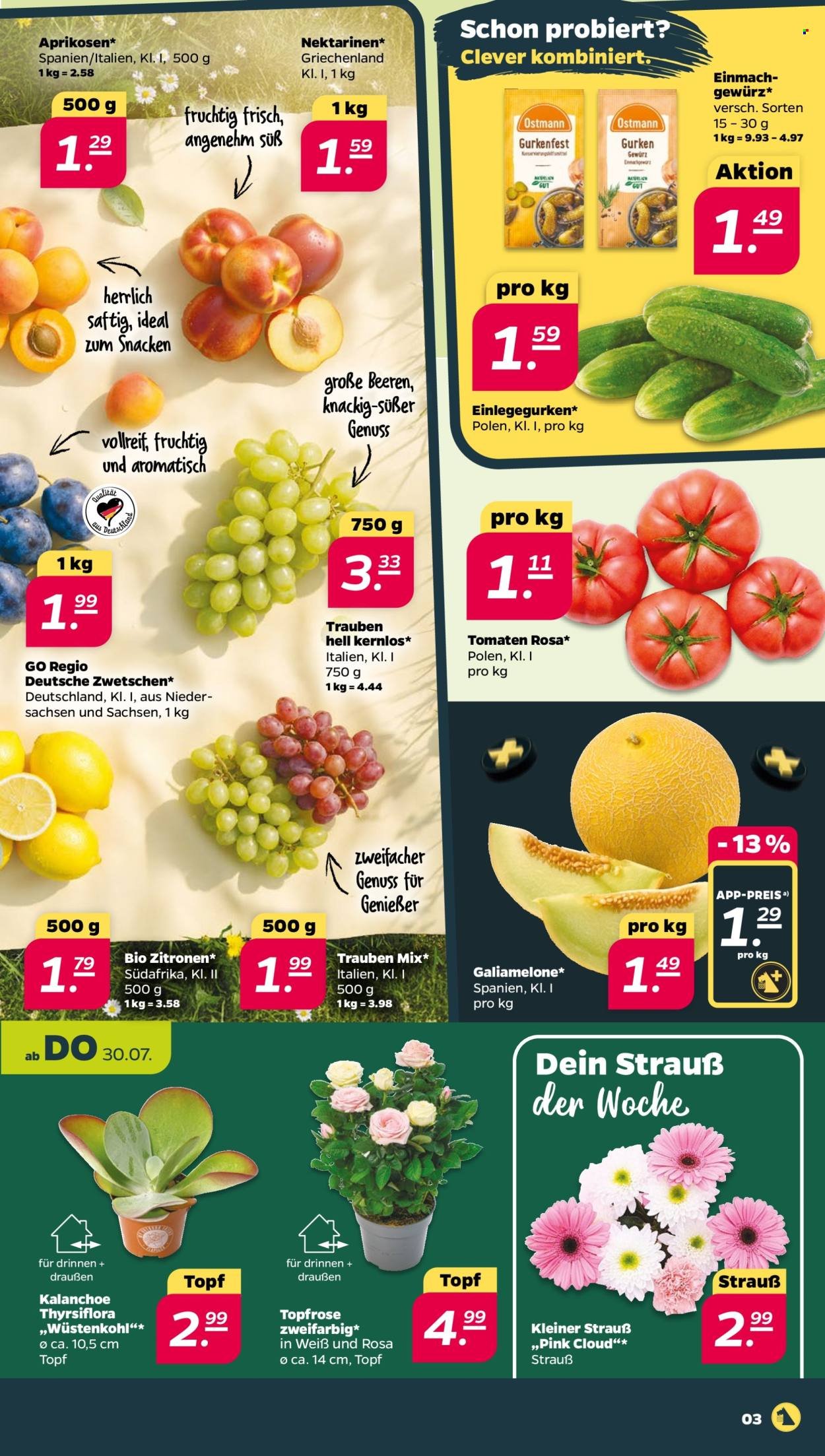 NETTO Prospekt - Woche 31